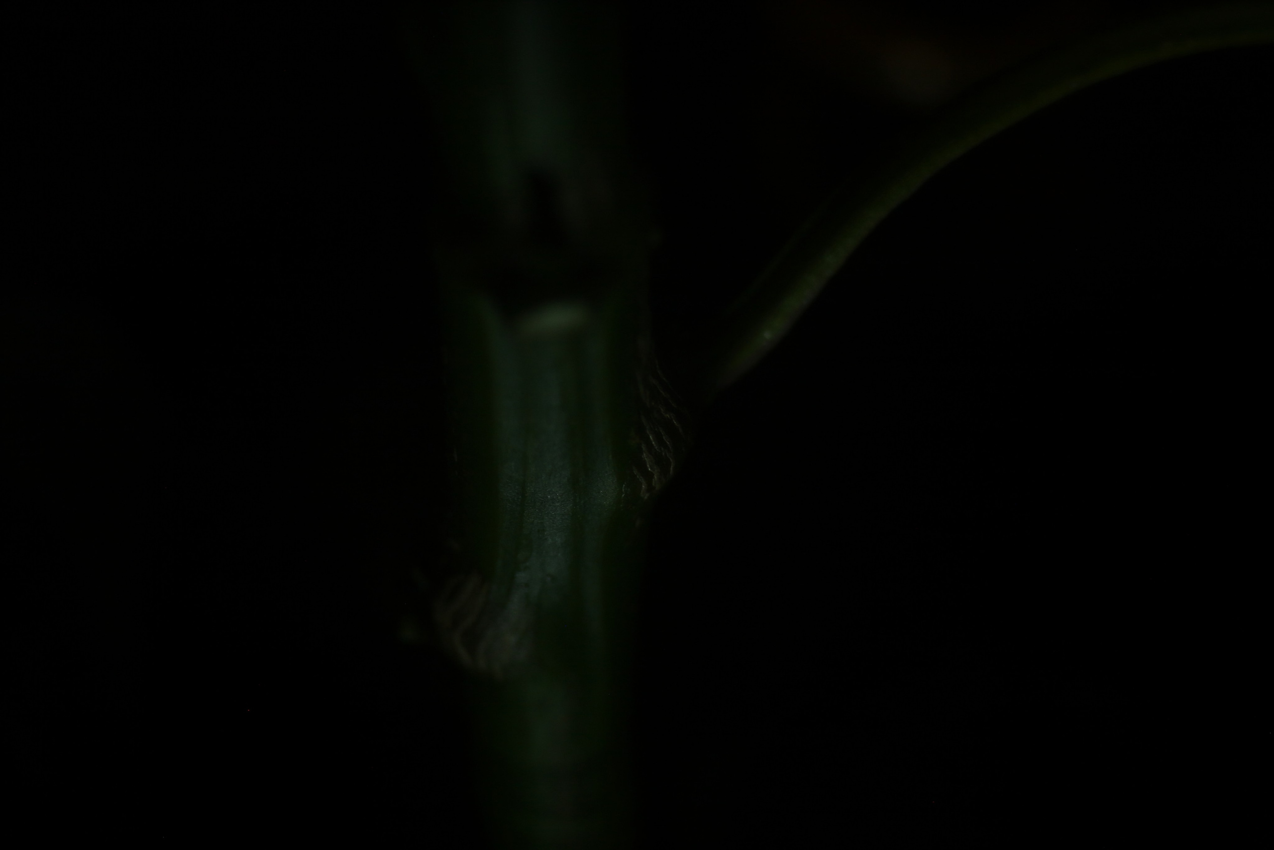 Старое природное, отбирала Katamount (Катерина Горохова). Главная