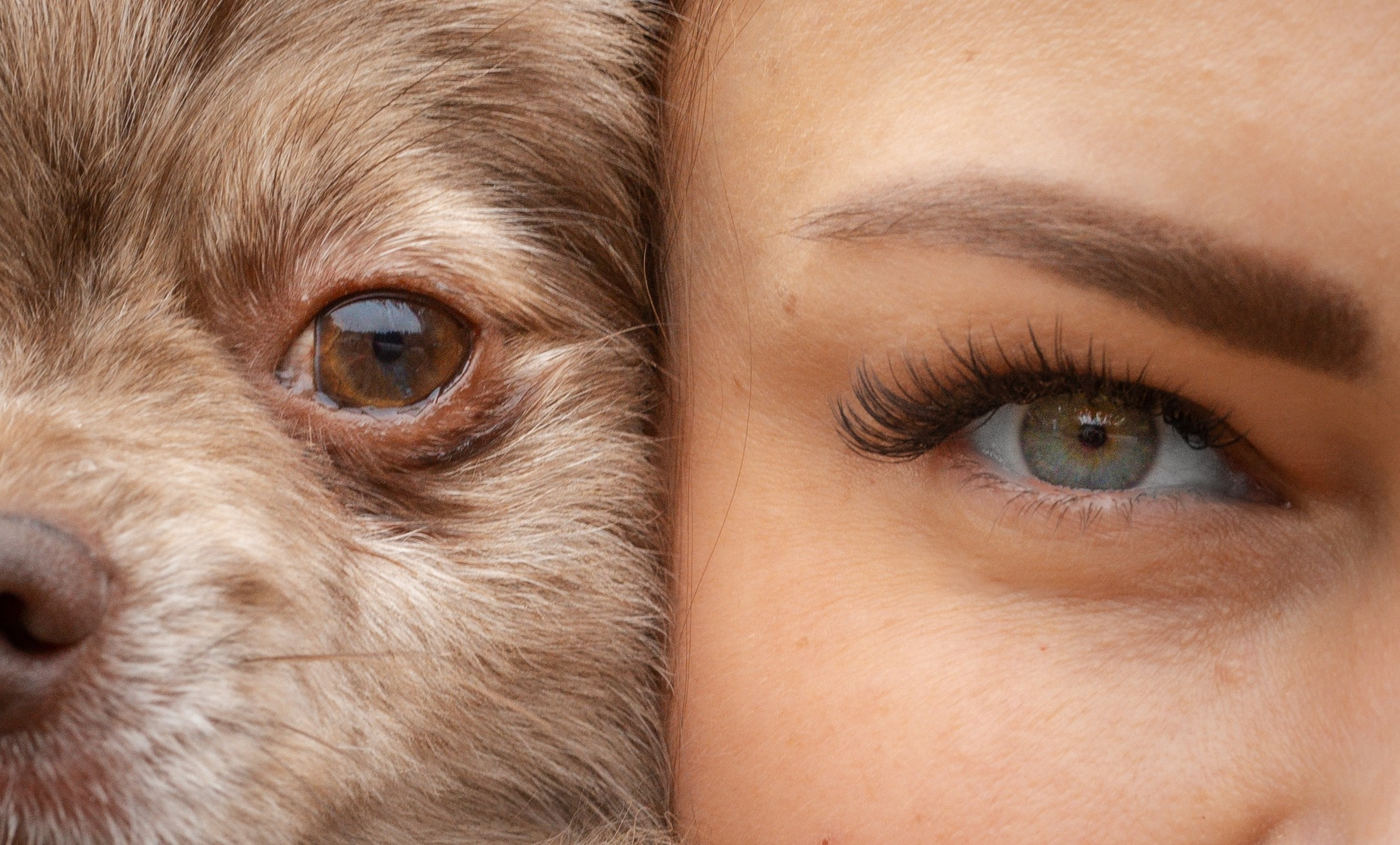 Скай, Марти и Катя. Фотограф-анималист в Москве Кириллова Татьяна