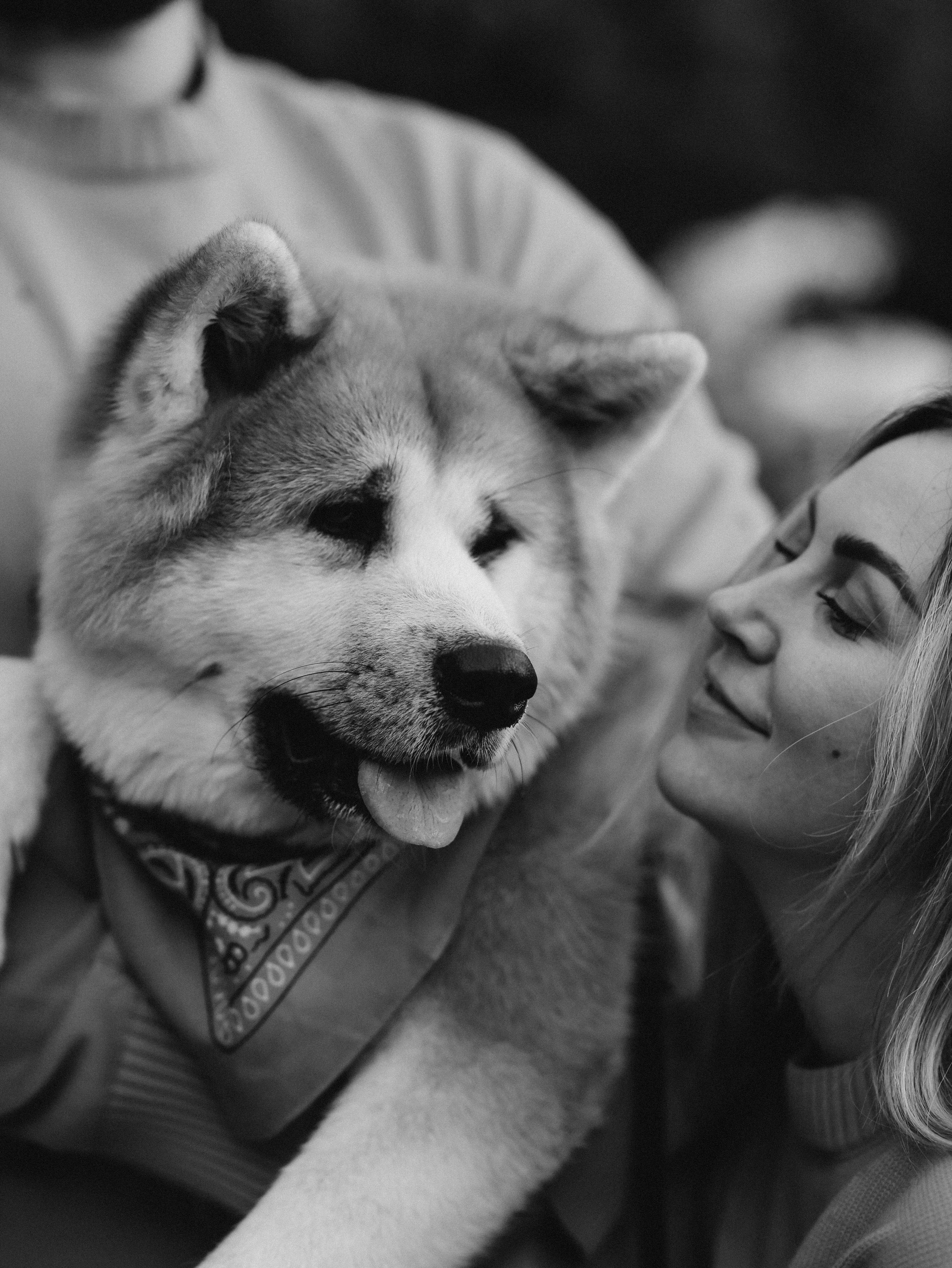 Гранд, Вика и Степан. Фотограф-анималист в Москве Кириллова Татьяна