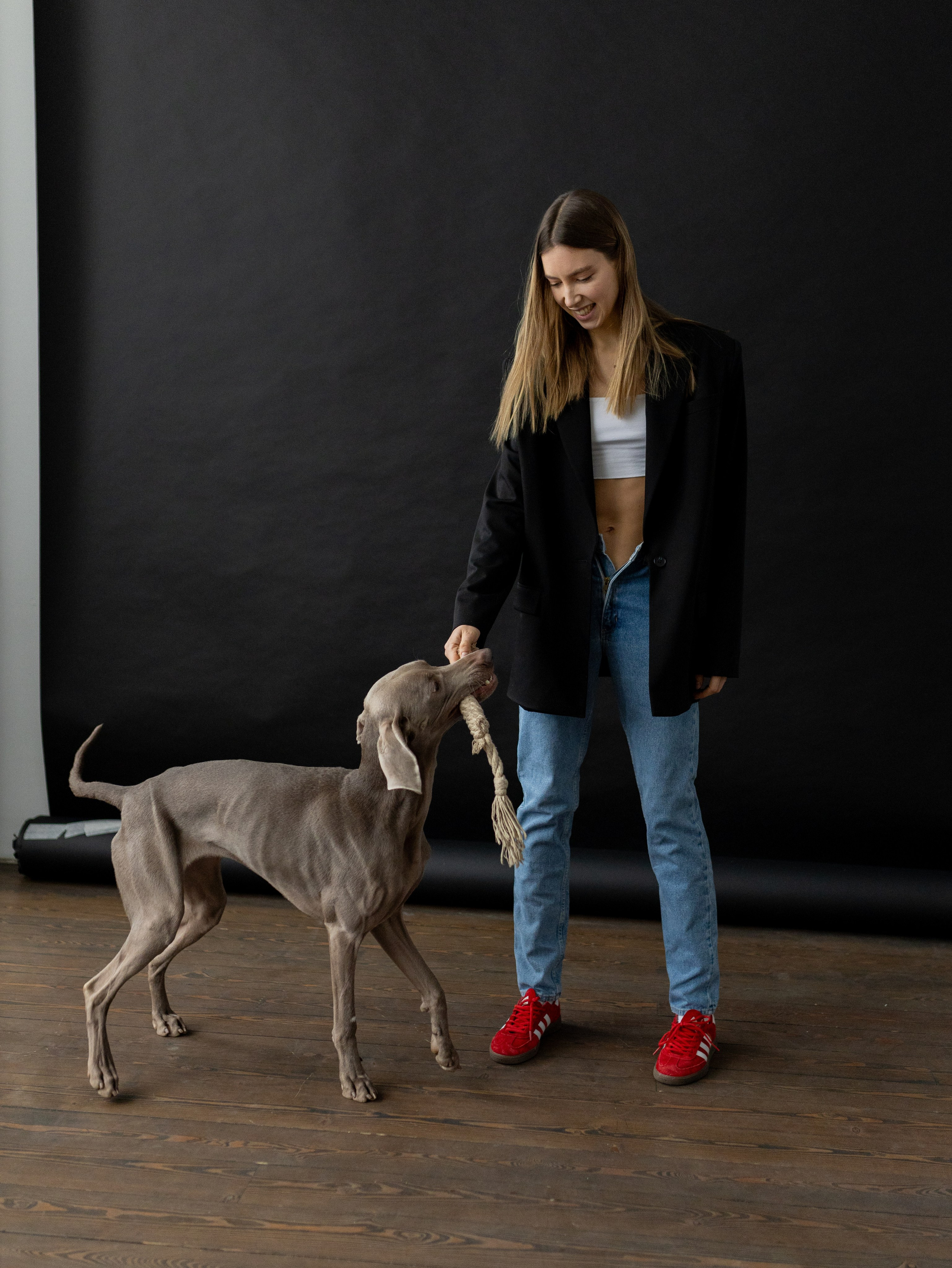 Сенча и Даша. Фотограф-анималист в Москве Кириллова Татьяна