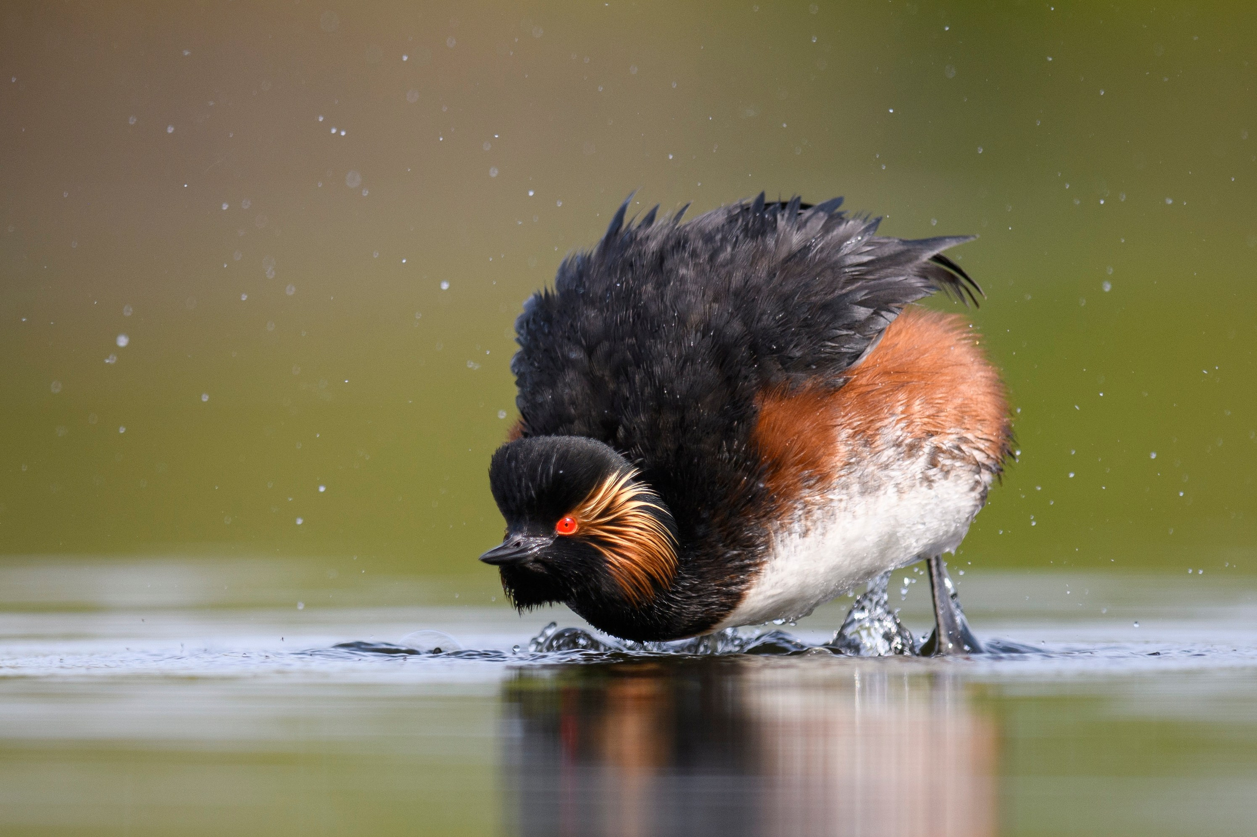 Выкрутасы. Фотограф Сергей Пупонин