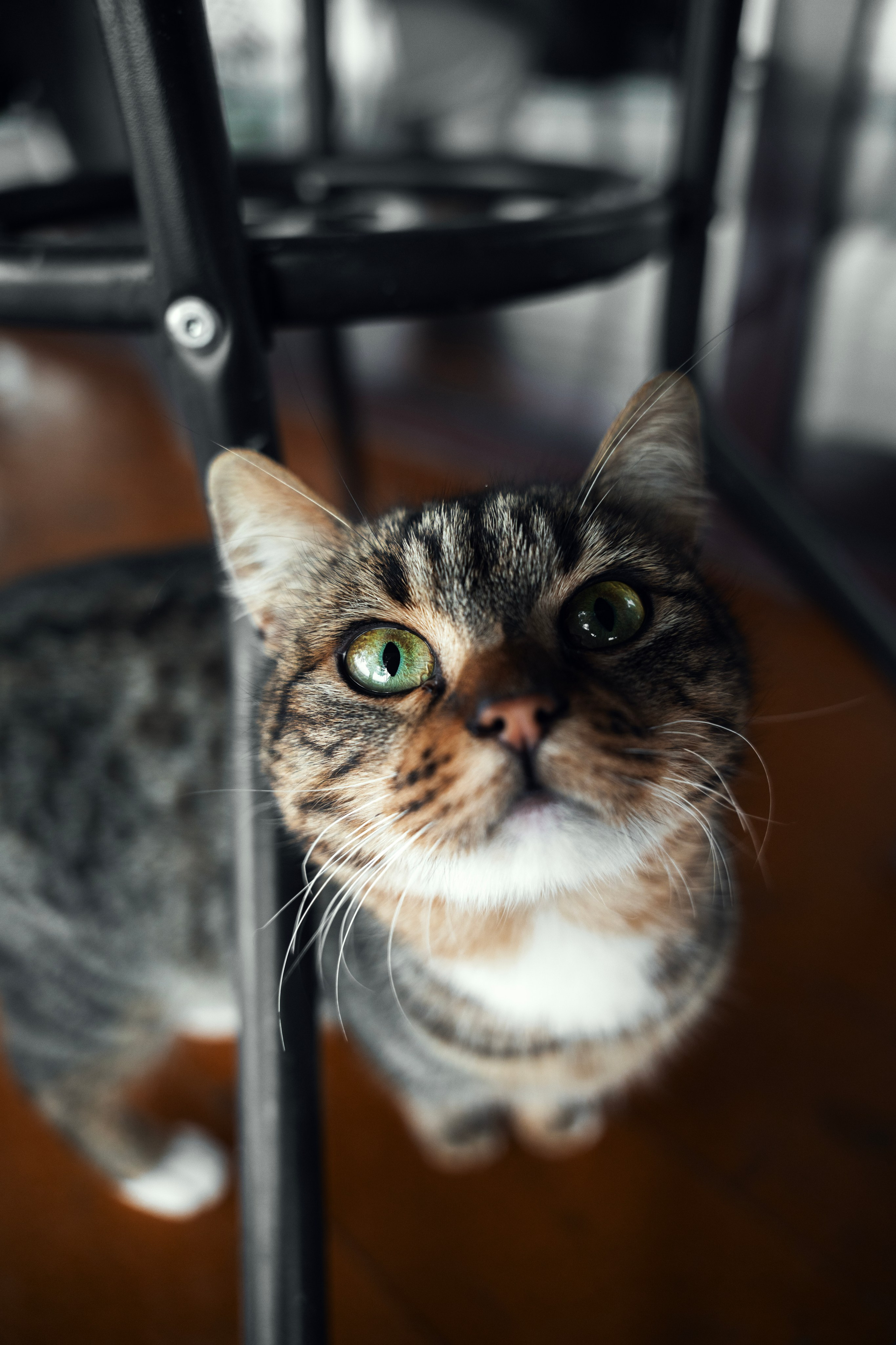 Заставки. Главная