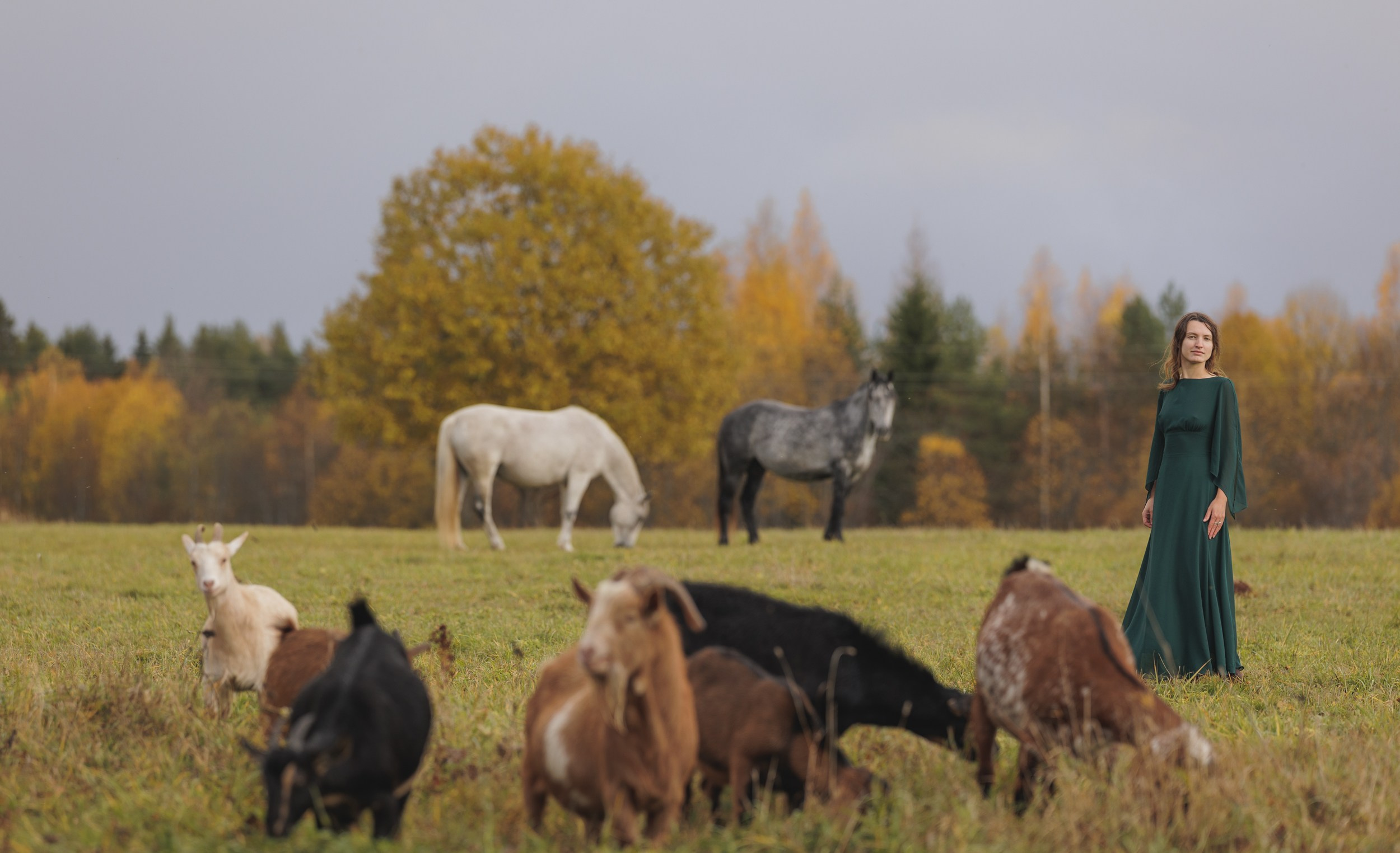 Аренда лошадей для фотосессии в Петрозаводске. Фотограф Варвара Ермоленко