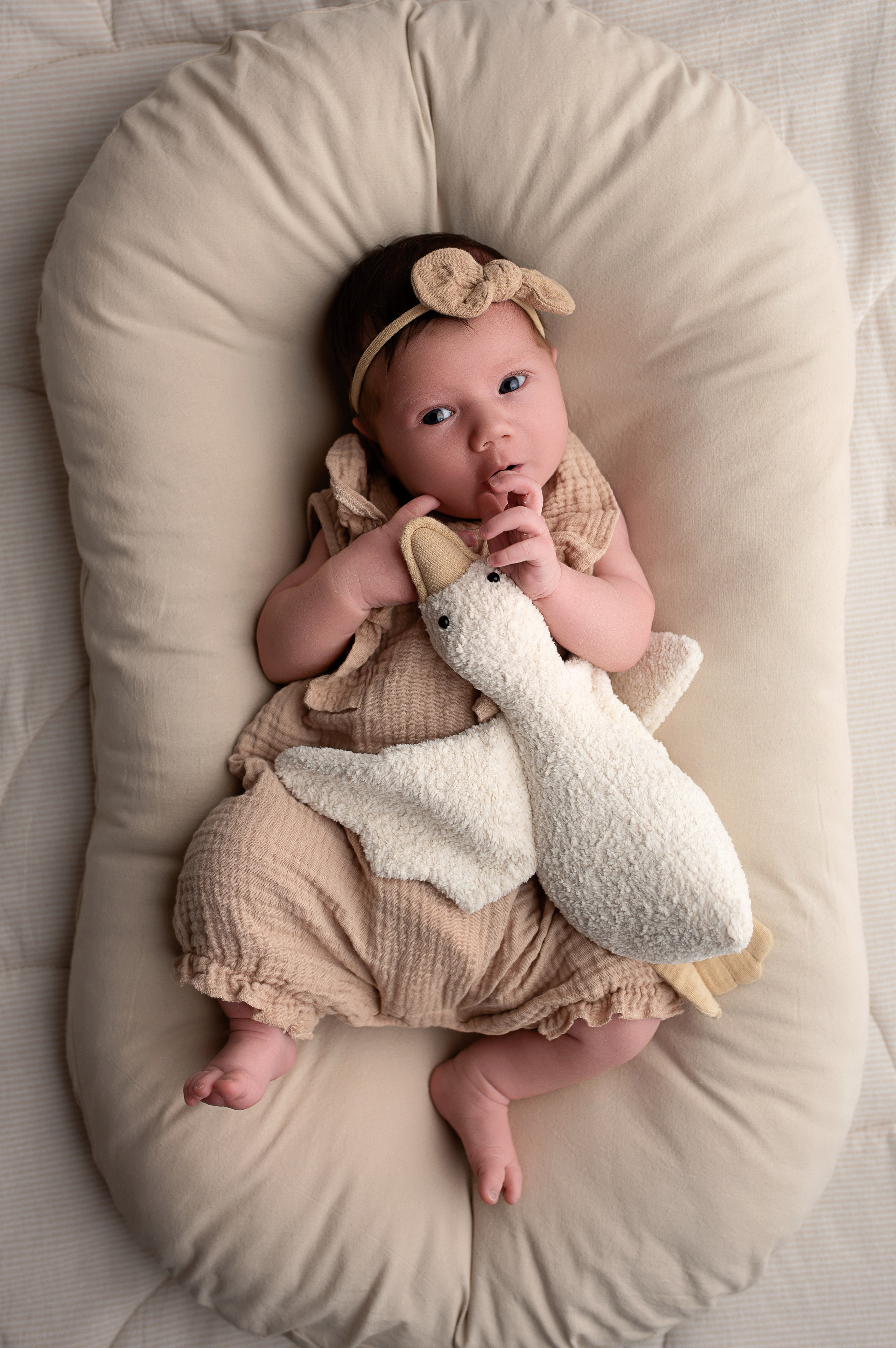 Новорождённые девочки. Детский фотограф новорождённых в Минске Боровик Екатерина