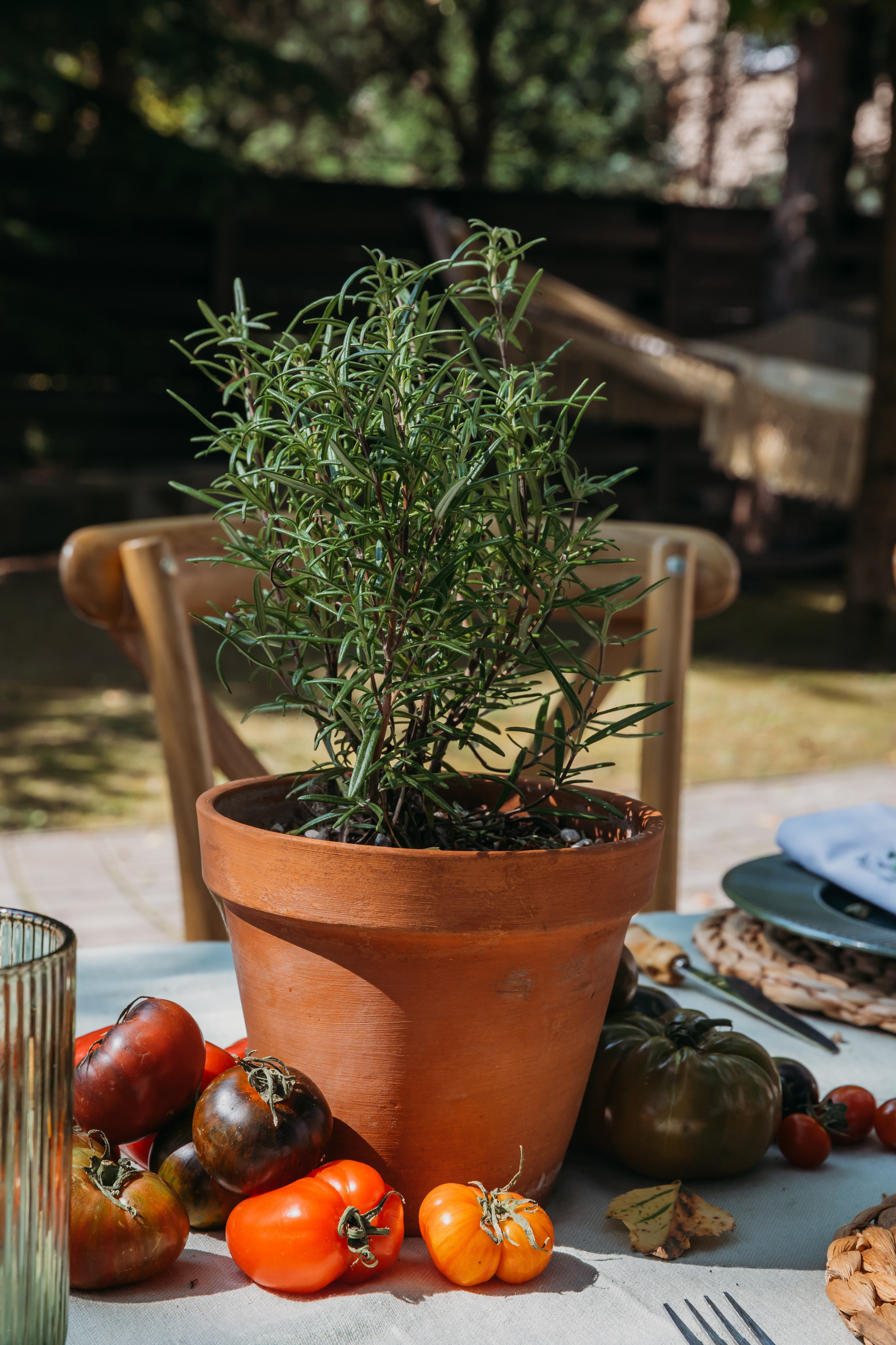 Родные люди «Итальянский день». Леся Гаранина. Семейный фотограф/видеограф Москва и область