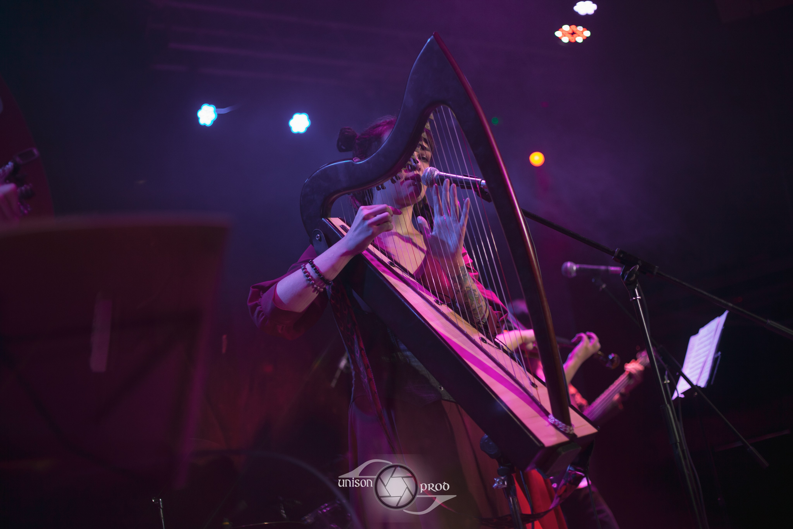 Фолк-вечер в «MEZZO FORTE». Фотограф Ellairen