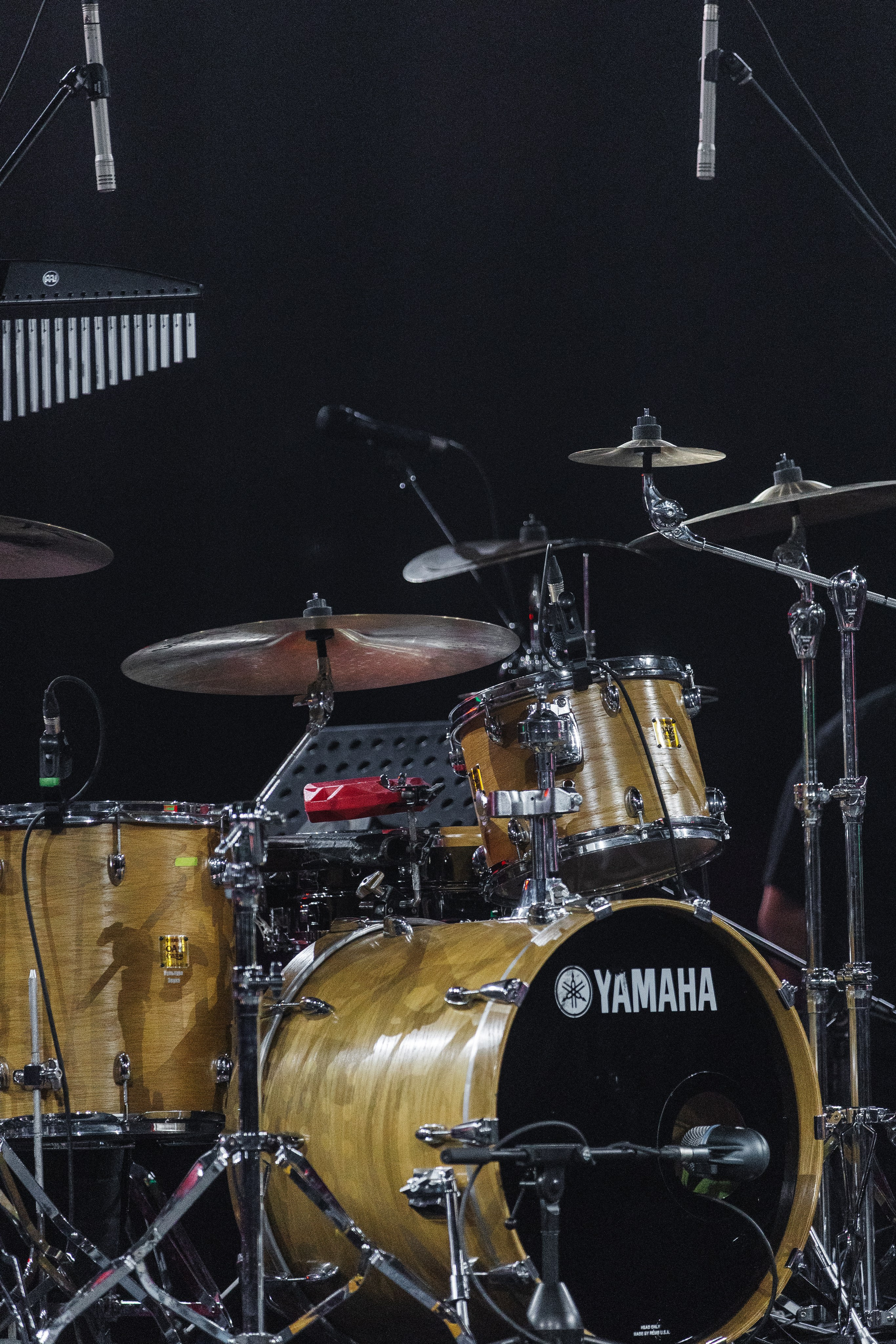 АЛЬФА КОНФА. Фотограф в Красноярске