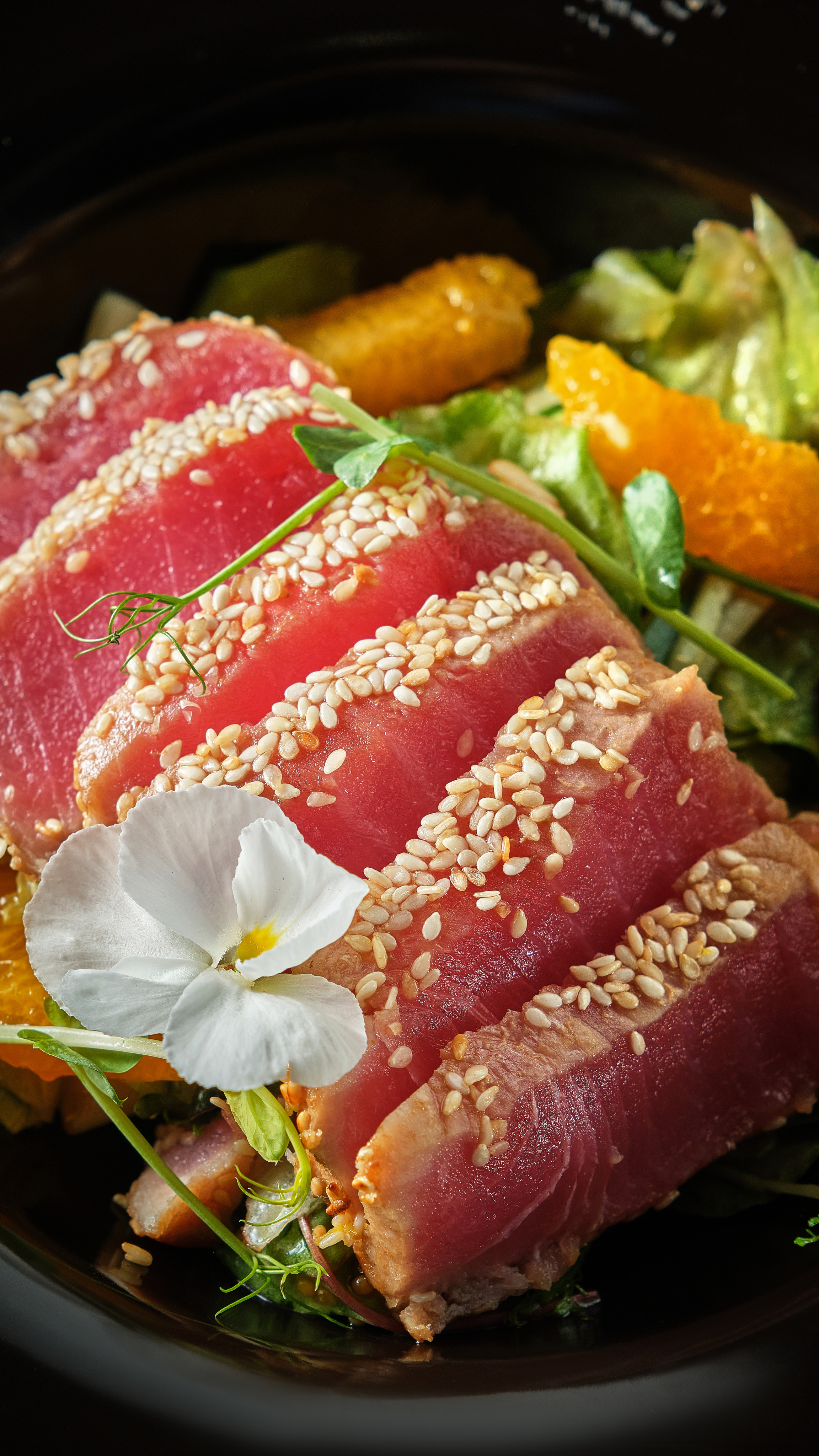 Меню и бар. Cheese Food Photo — Предметная и фуд фотосъёмка в Белгороде