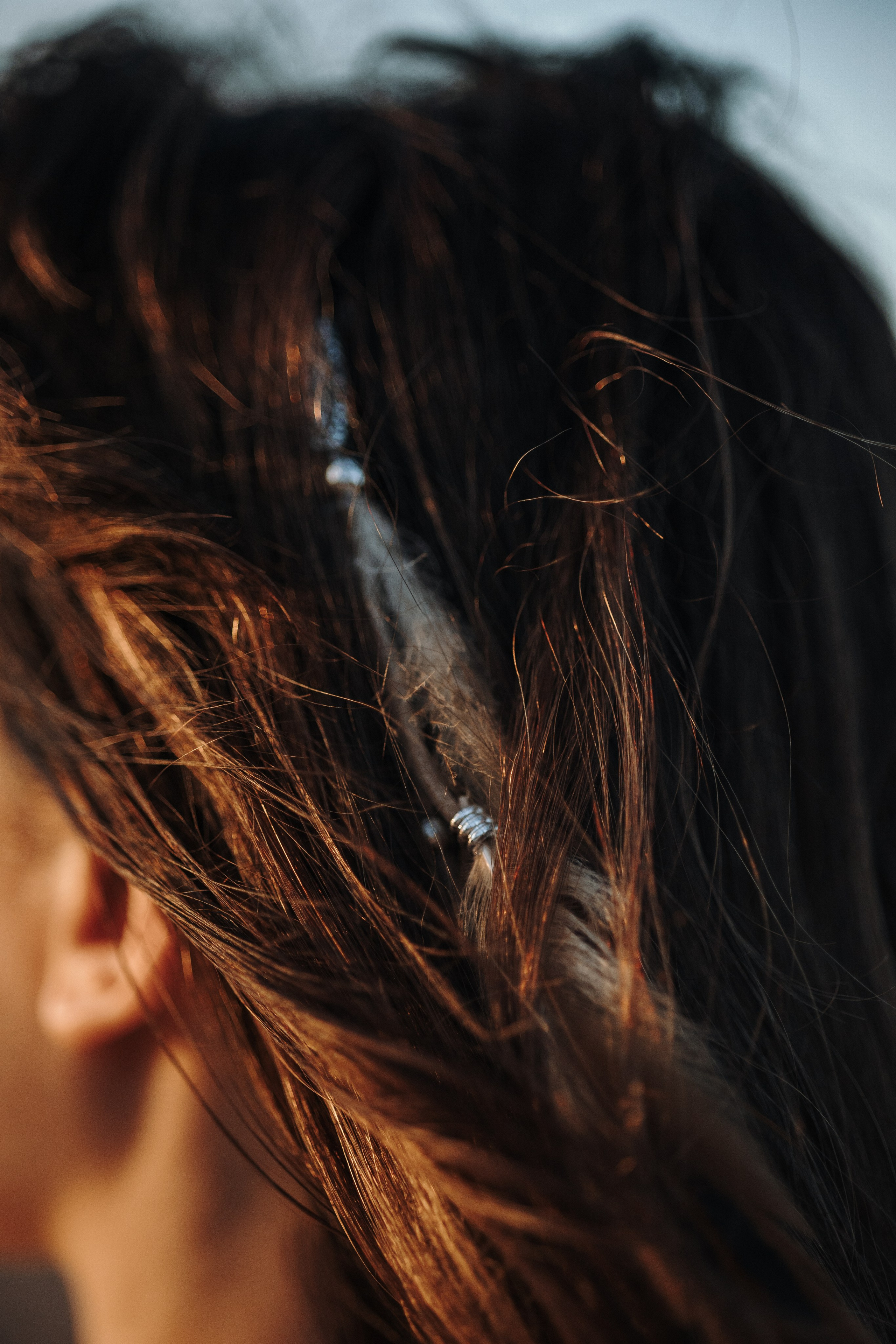 Верон, Гарри и их семья. Фотограф — Анималист | Санкт-Петербург