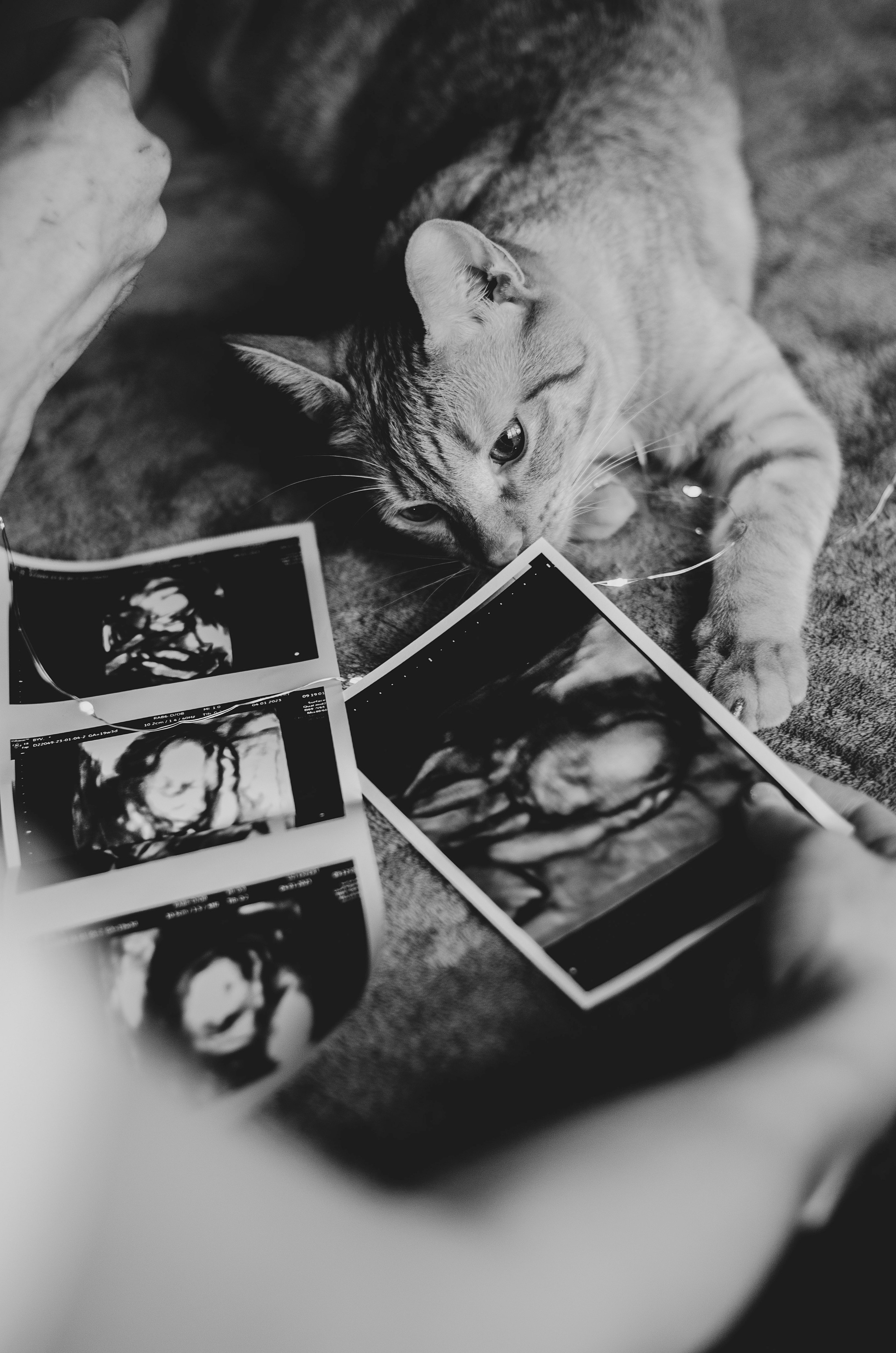 Домашняя уютная история. Lifestyle семейный и детский фотограф в Омске Иванова Екатерина