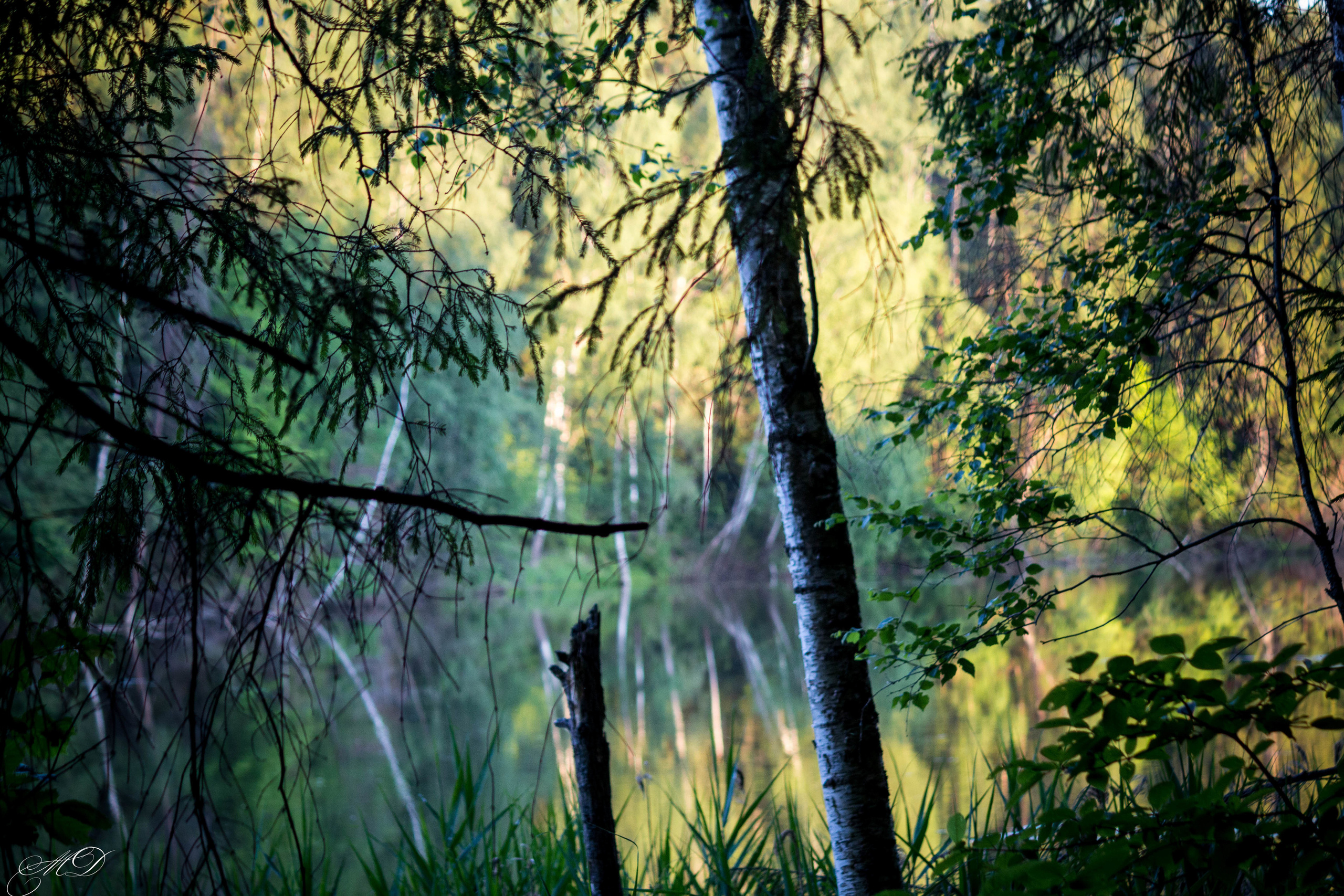Михаил Дёгтев - фотограф