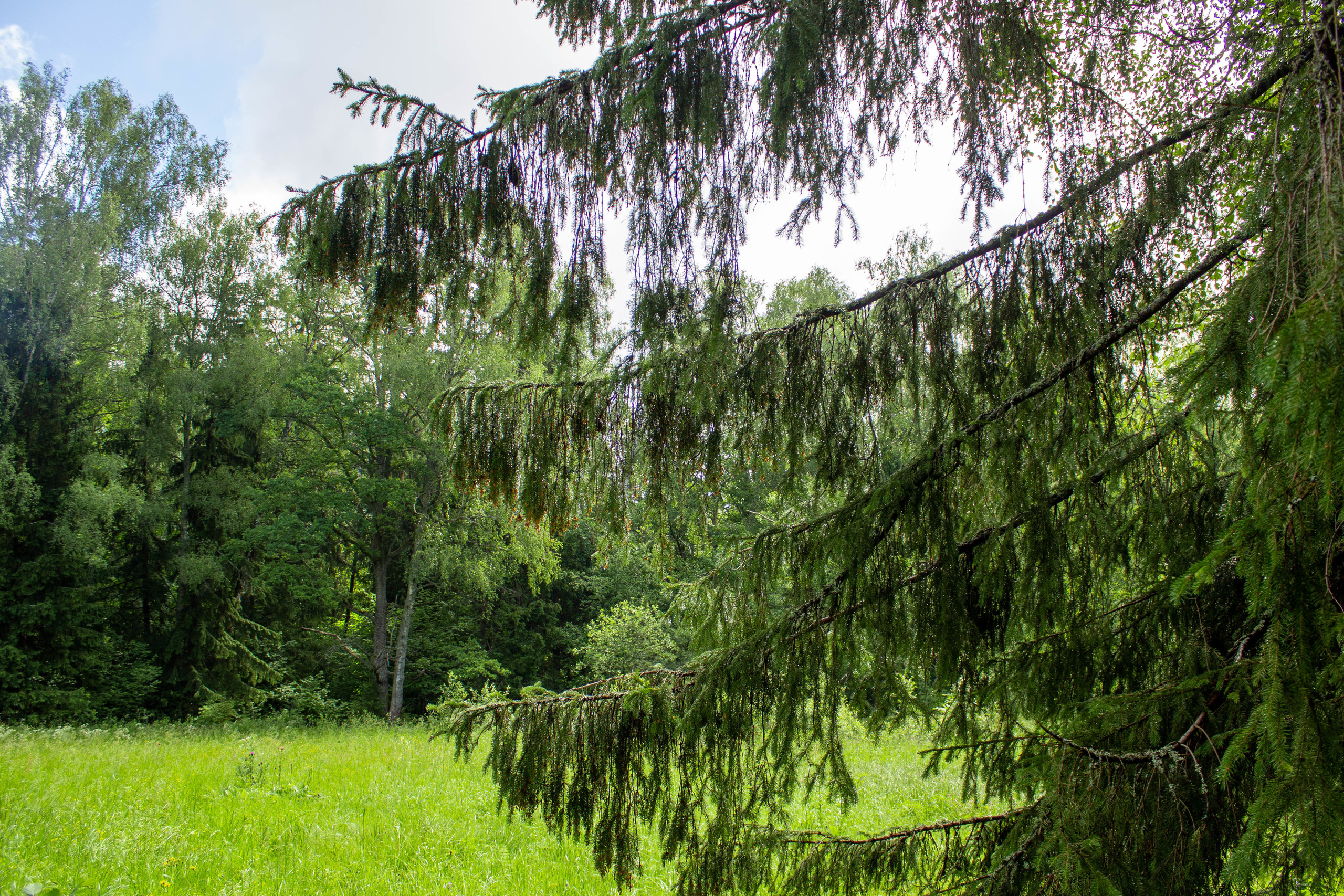 Михаил Дёгтев - фотограф
