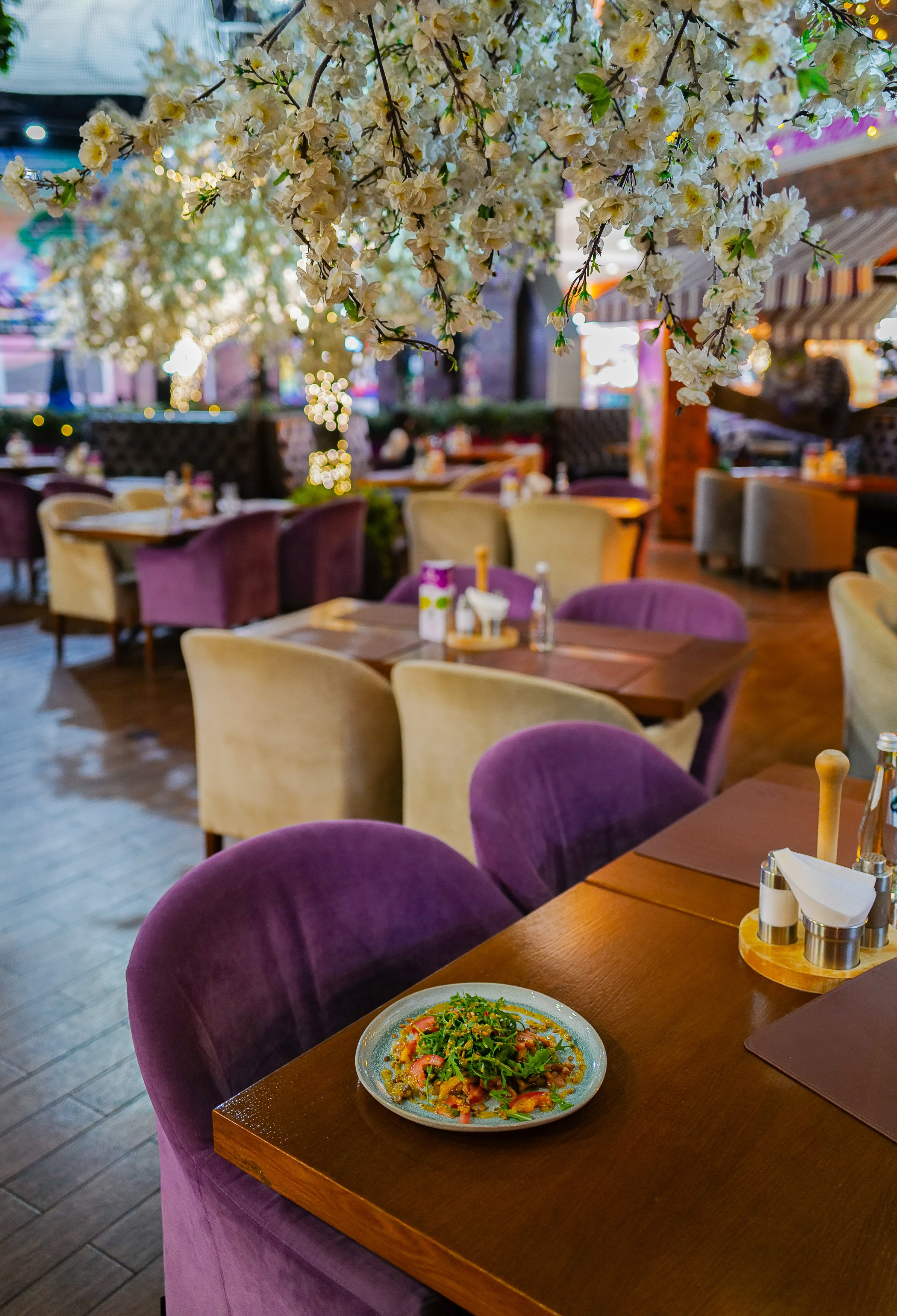 Premier only august 2024. Главная