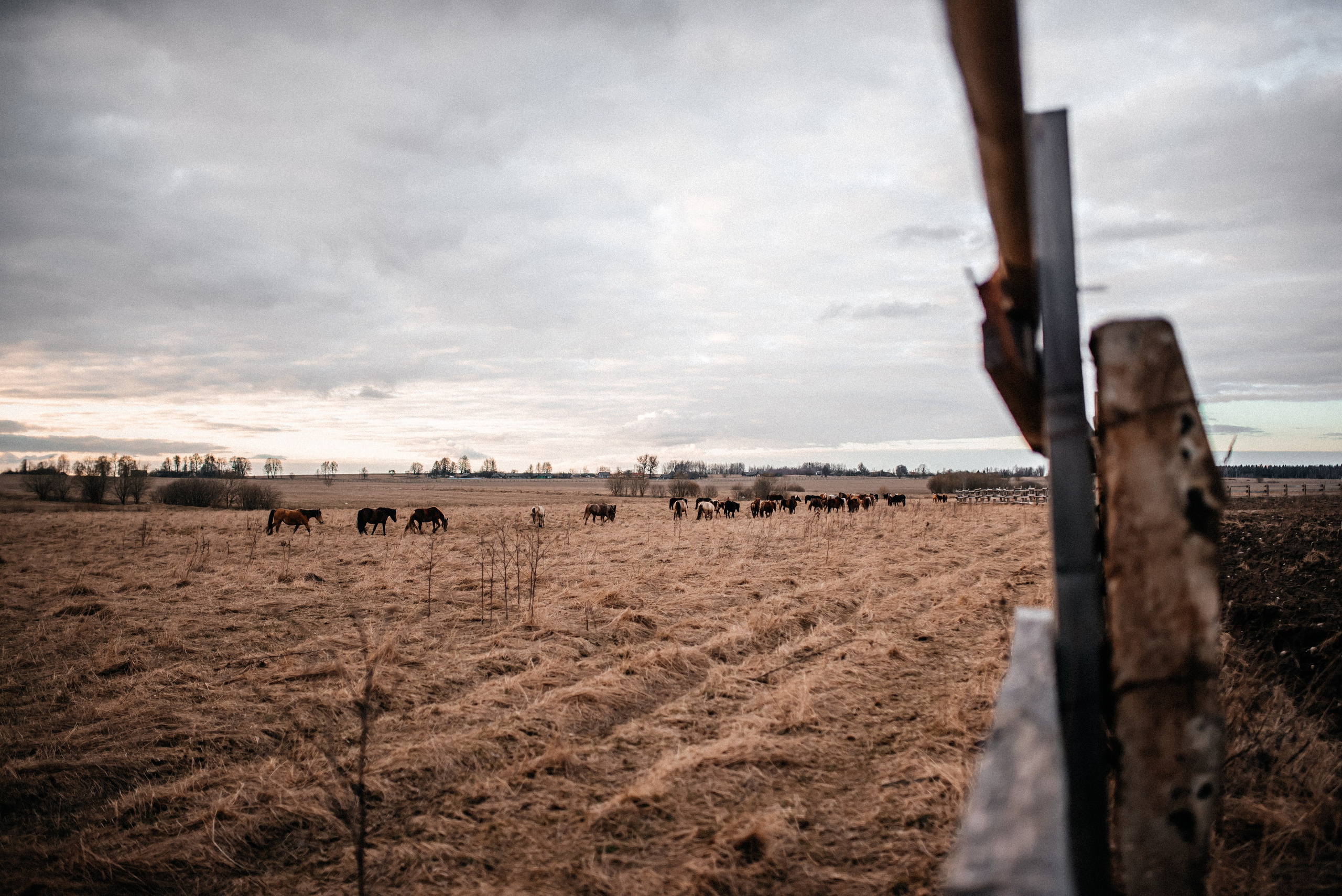 Ира, осень 2021. Главная