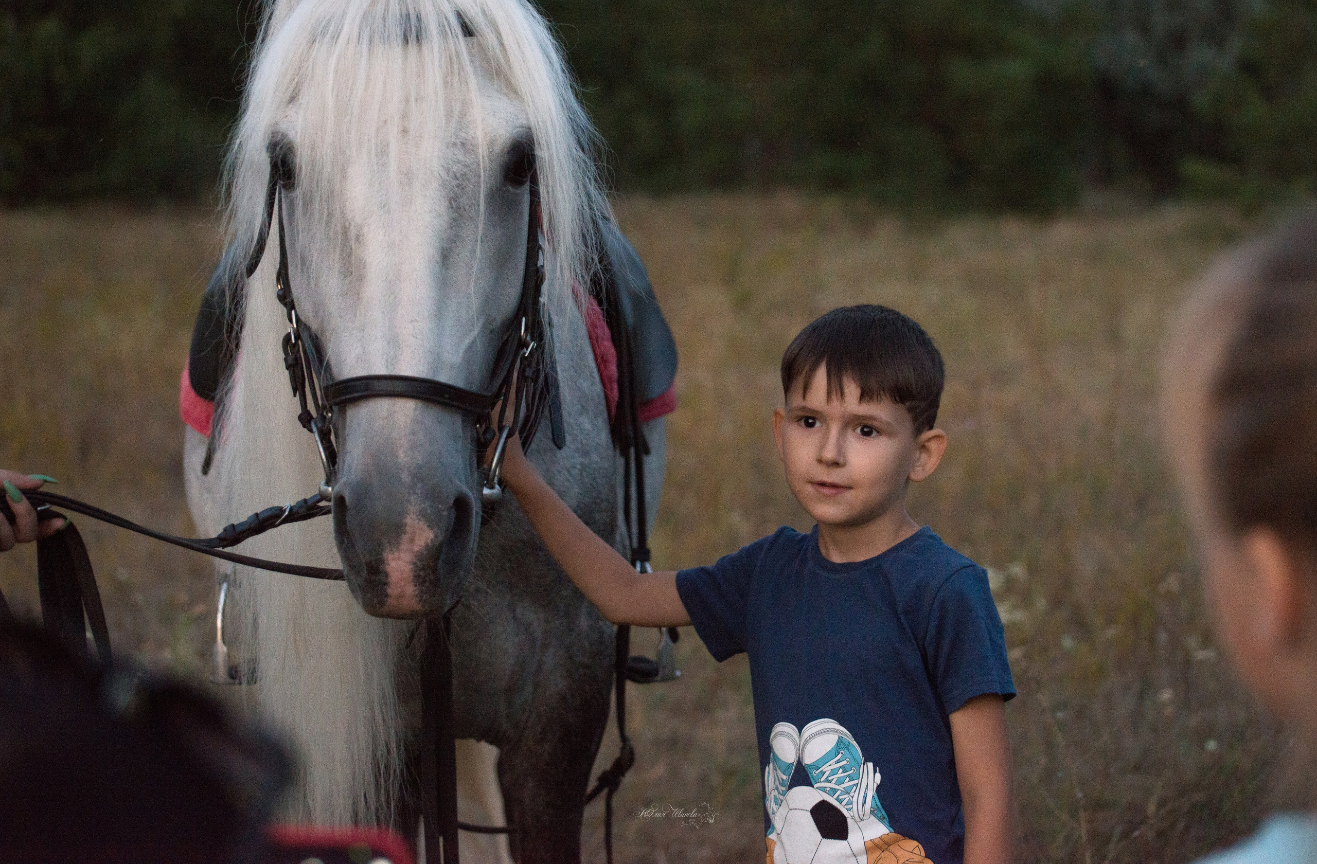 Дети и лошади. Конный фотограф в Саратове Юлия Иванова