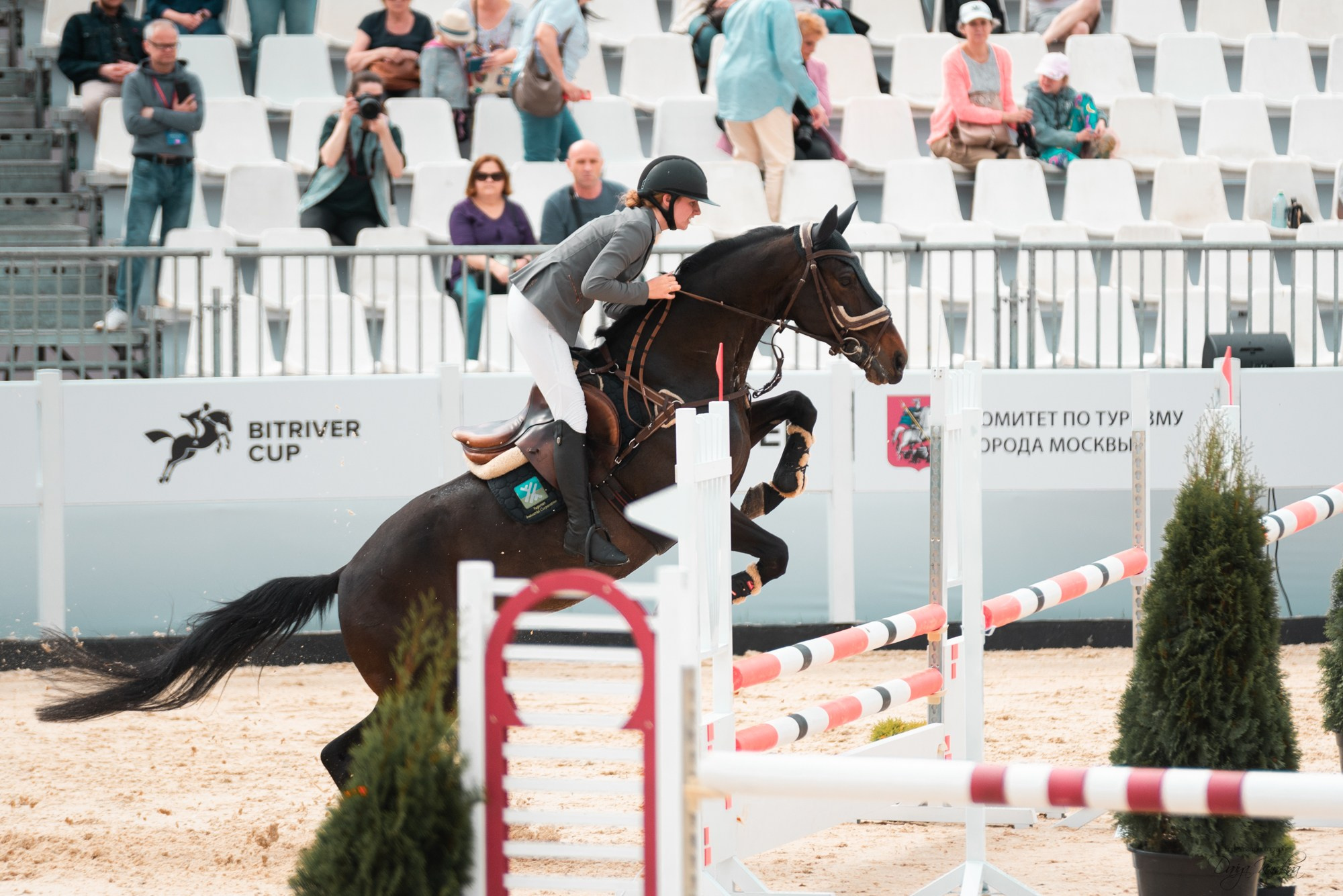 BITRIVER CUP 2023. Конный фотограф Куракина Дарья • Фотосессии с лошадьми