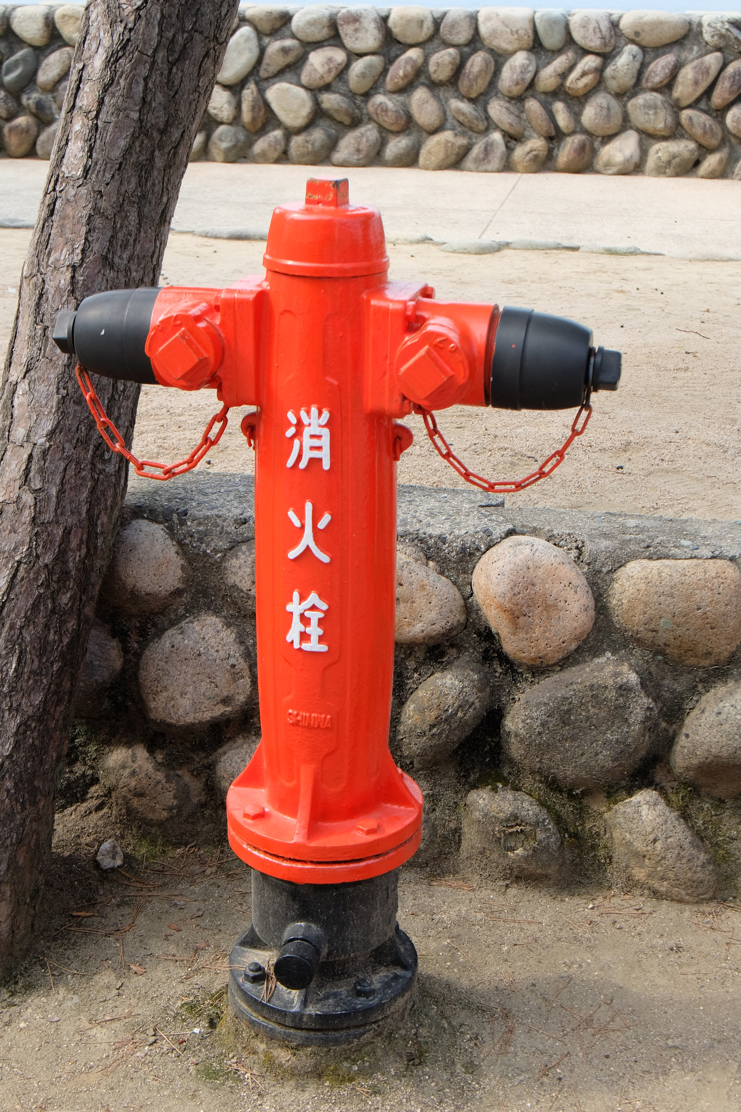 ЯПОНИЯ. Семейный и travel-фотограф из Израиля