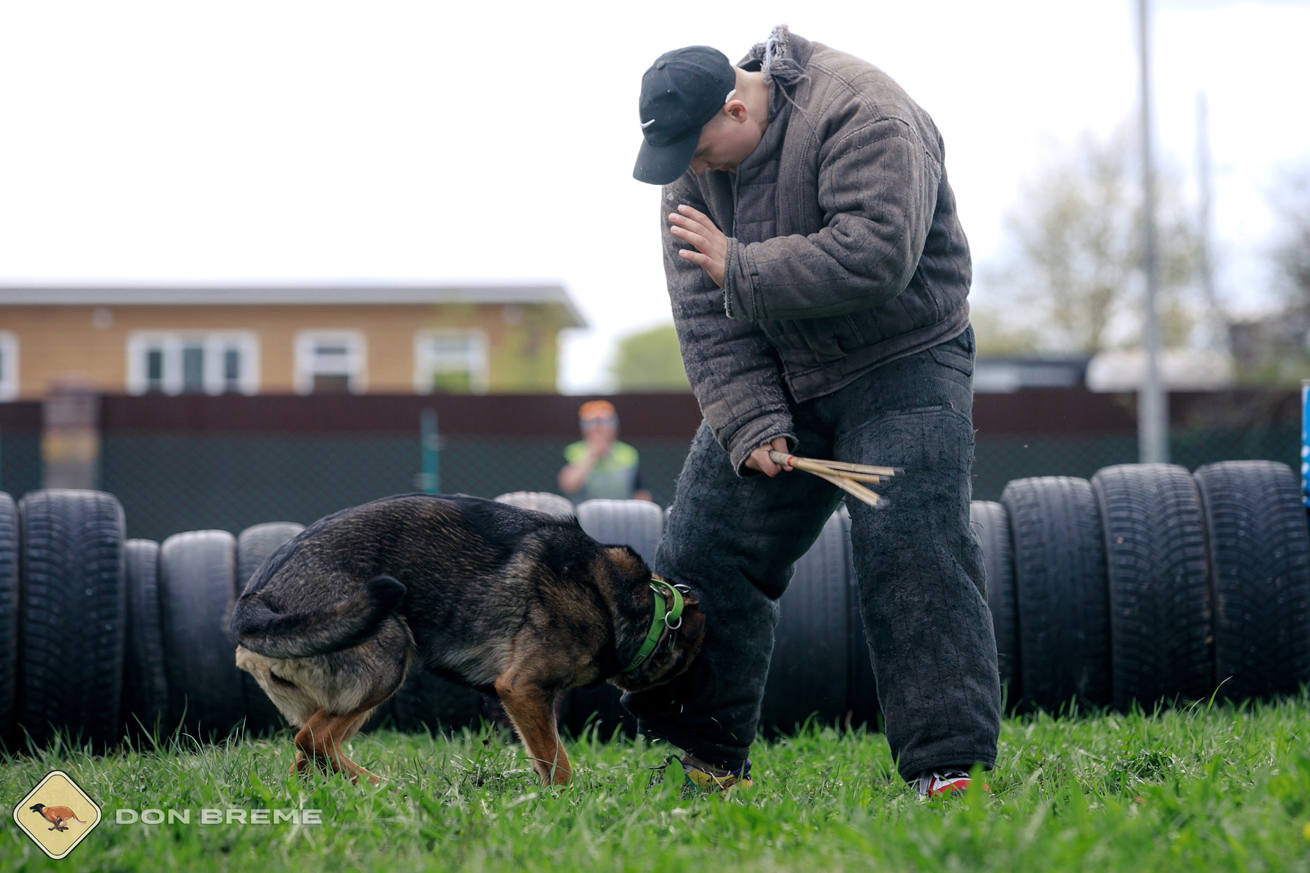 Семинар для фигурантов, день 2. Фотограф-анималист Mary Mart — Москва, Питер