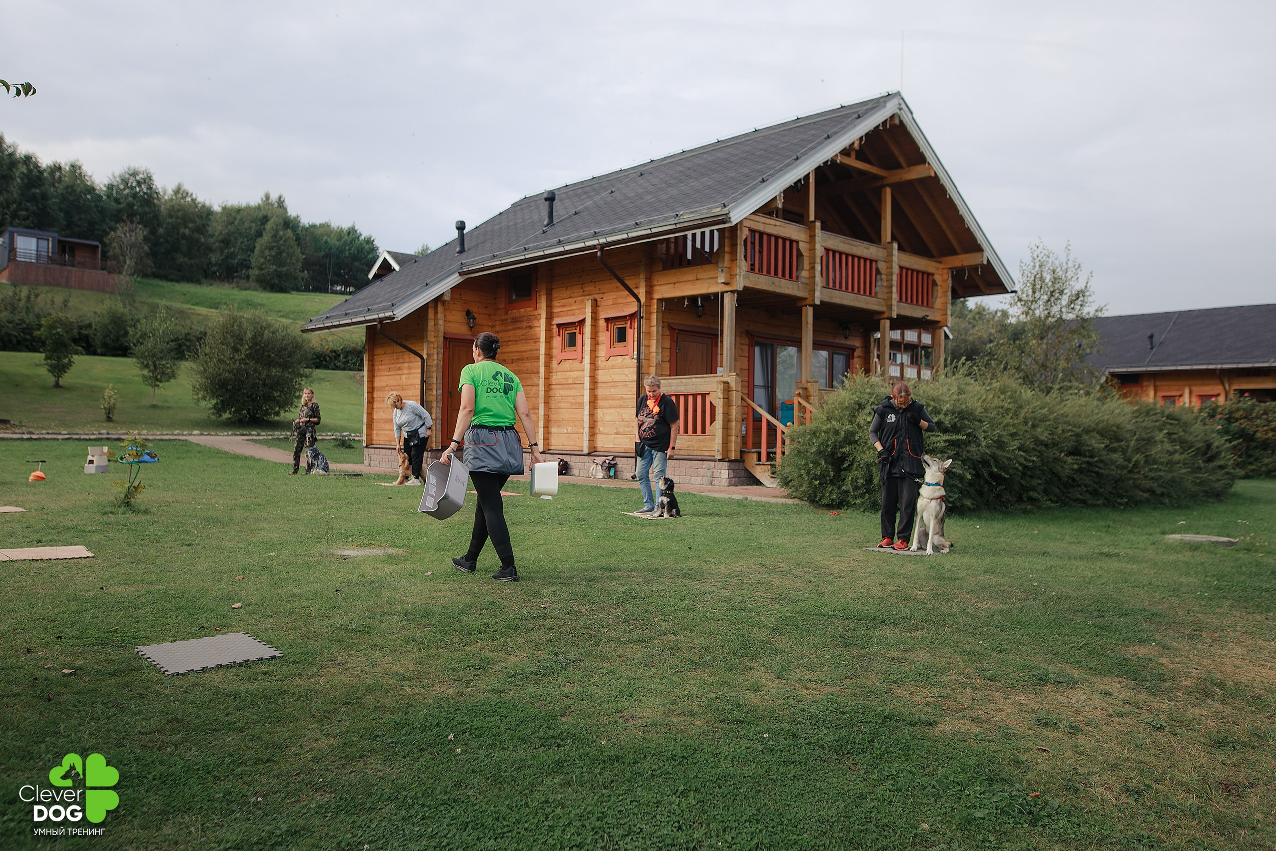Кинологический лагерь CleverDog, 2024. Фотограф-анималист Mary Mart — Москва, Питер
