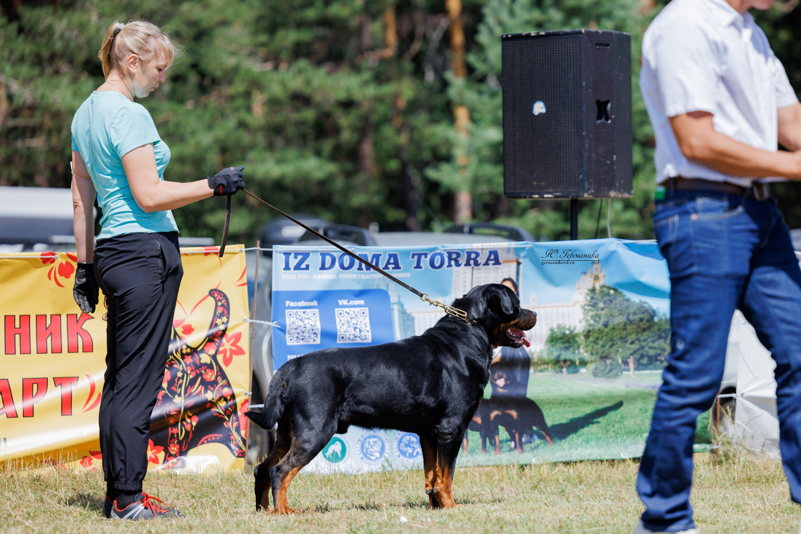 ПК и КЧК ротвейлеры Тверь 6-7.07.2024. Фотограф-анималист Юлия Германика