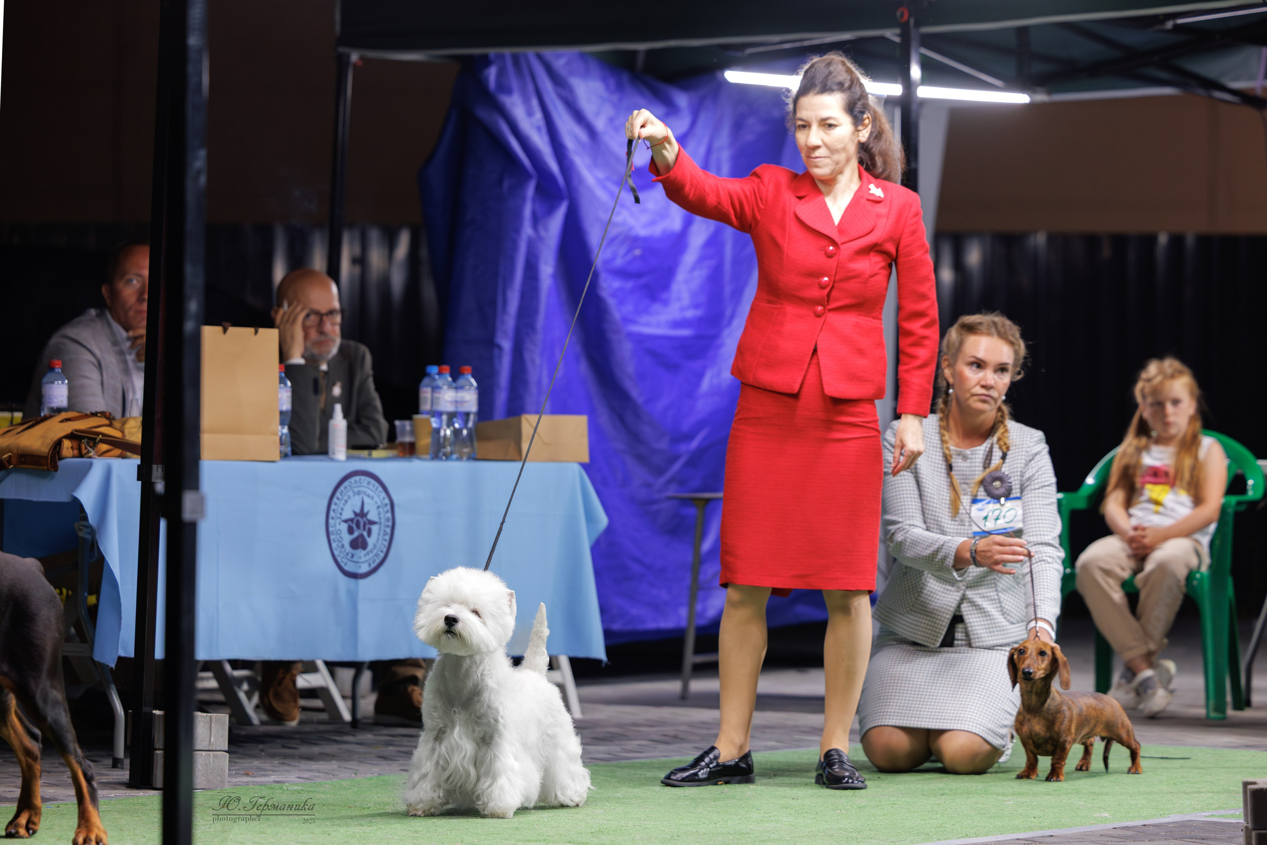 Калининград 25-27.07 Волгоград 1-3.08 2025. Фотограф-анималист Юлия Германика