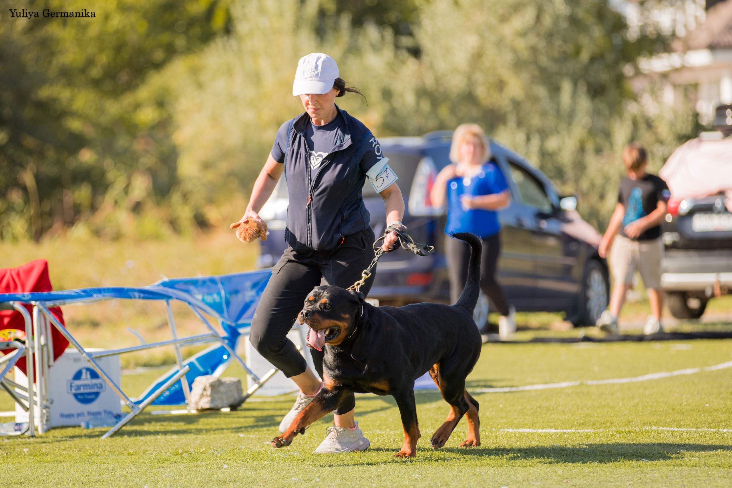 Анапа 16-17.09.2023 моно ротвейлеров. Фотограф-анималист Юлия Германика