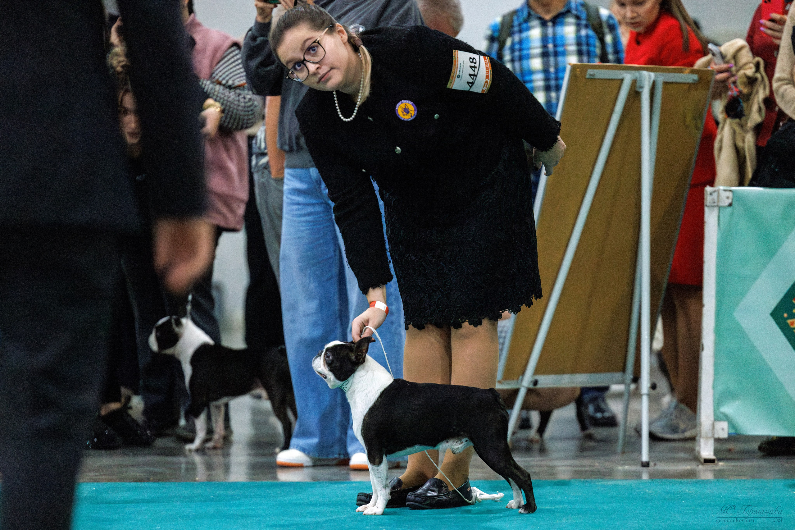 Евразия 16-17.11.2024. Фотограф-анималист Юлия Германика