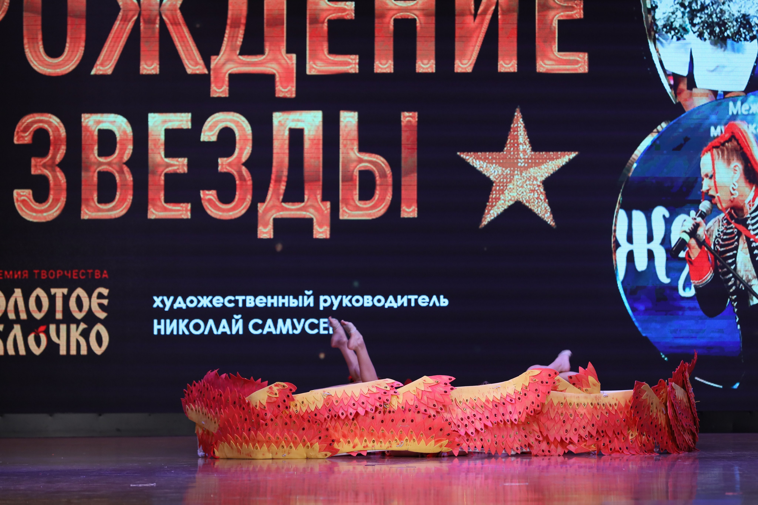 4 ноября, блок 1, видео, номера 14-29, г. Краснодар. Золотое яблочко