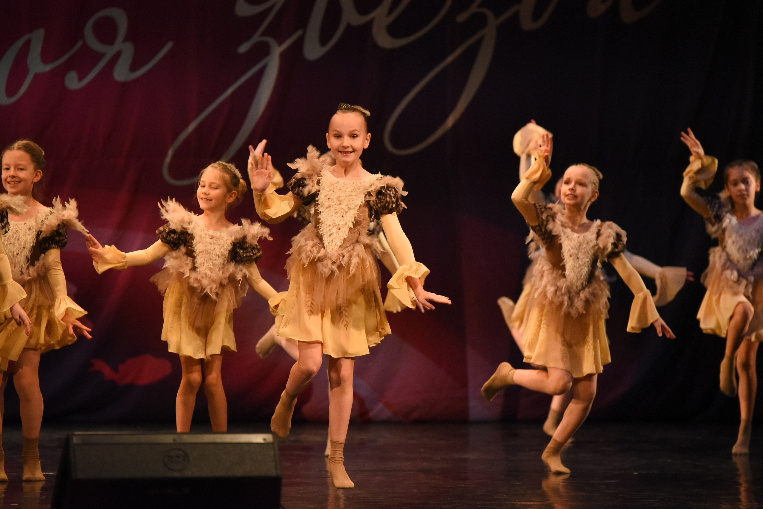 13 декабря, г. Калининград. Золотое яблочко