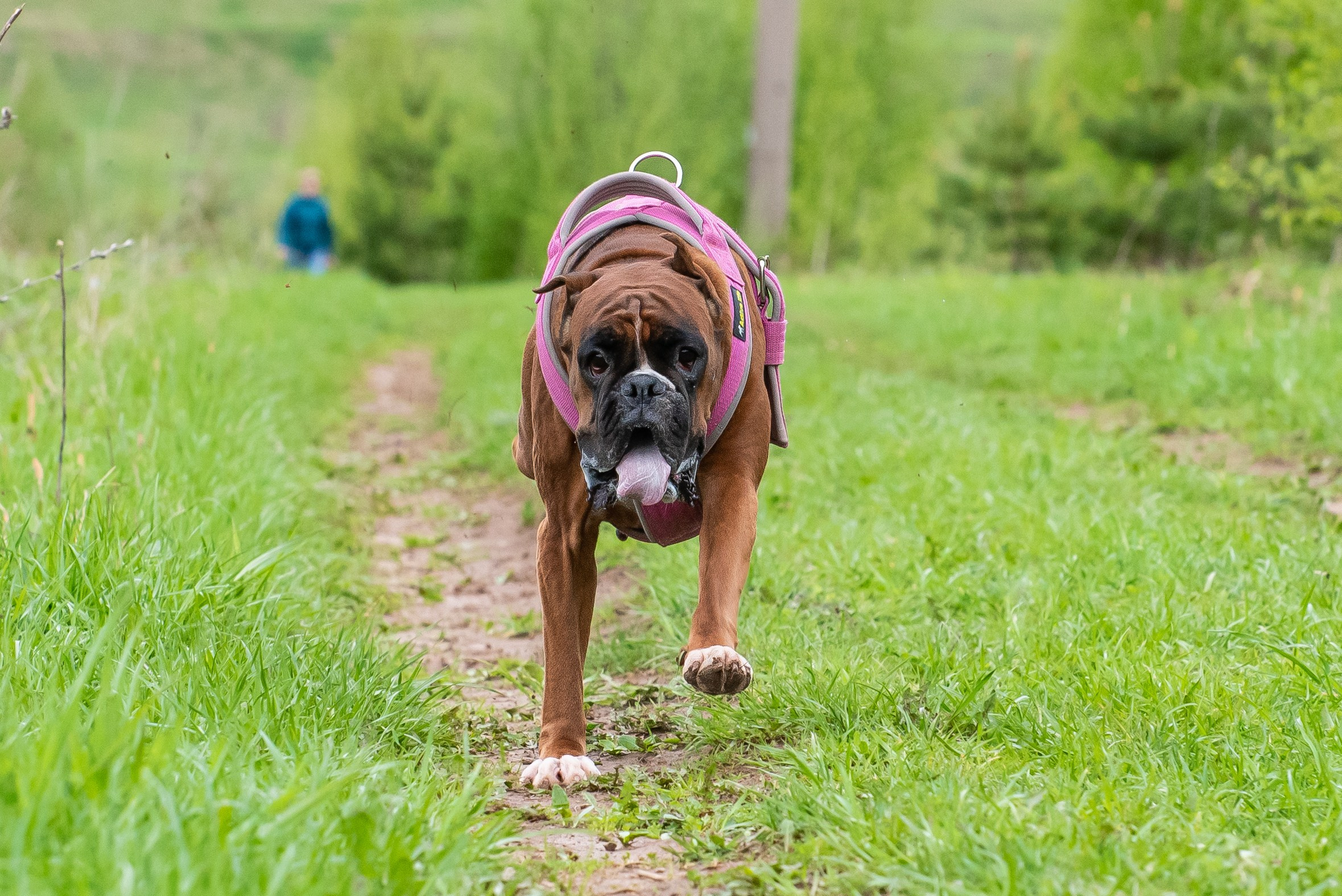 Фотографии с Курсинга. Фотограф Макс Огурцов в Нижнем Новгороде