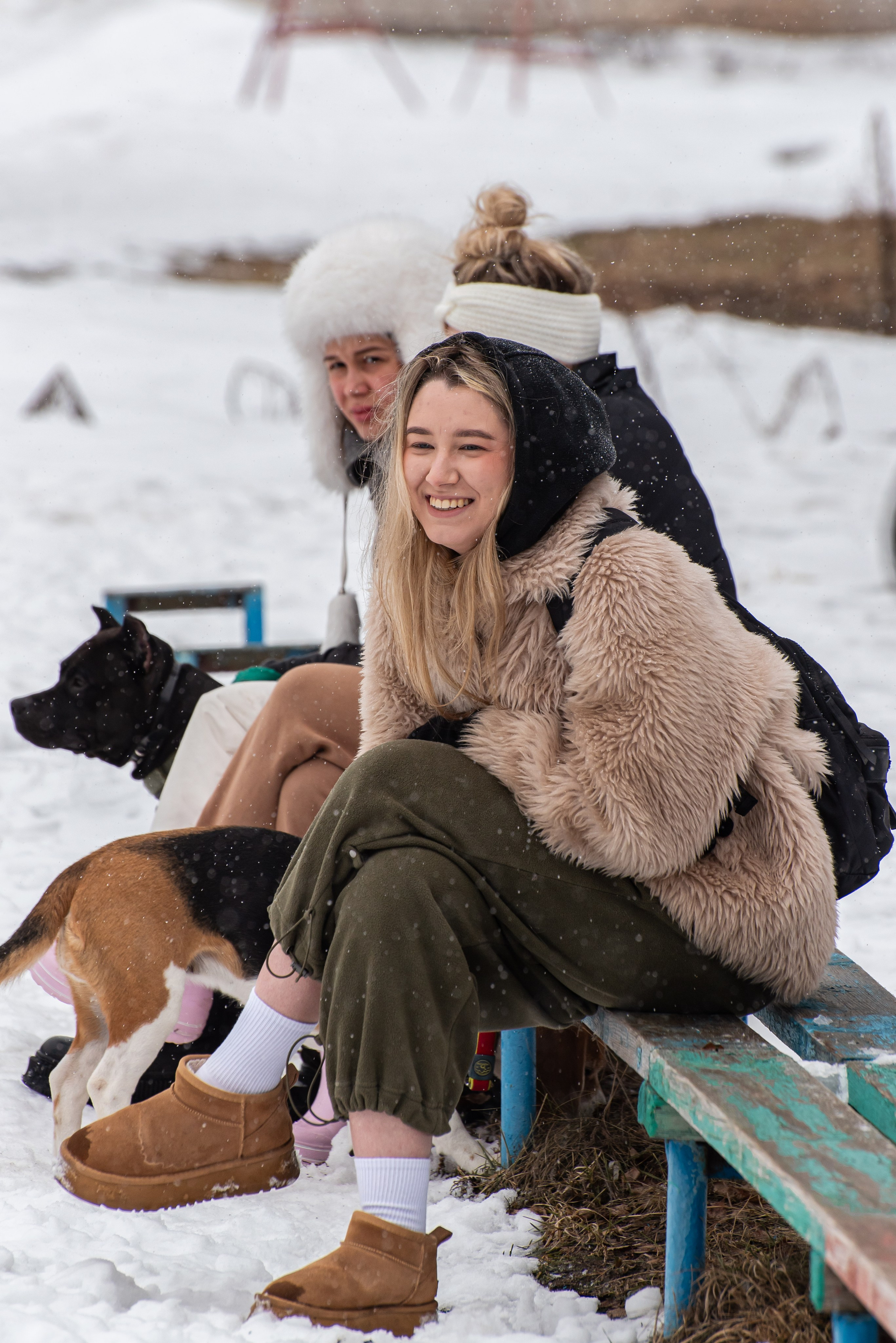 Фотосъёмка с собаками в Кинологическом лагере. Фотограф Макс Огурцов в Нижнем Новгороде
