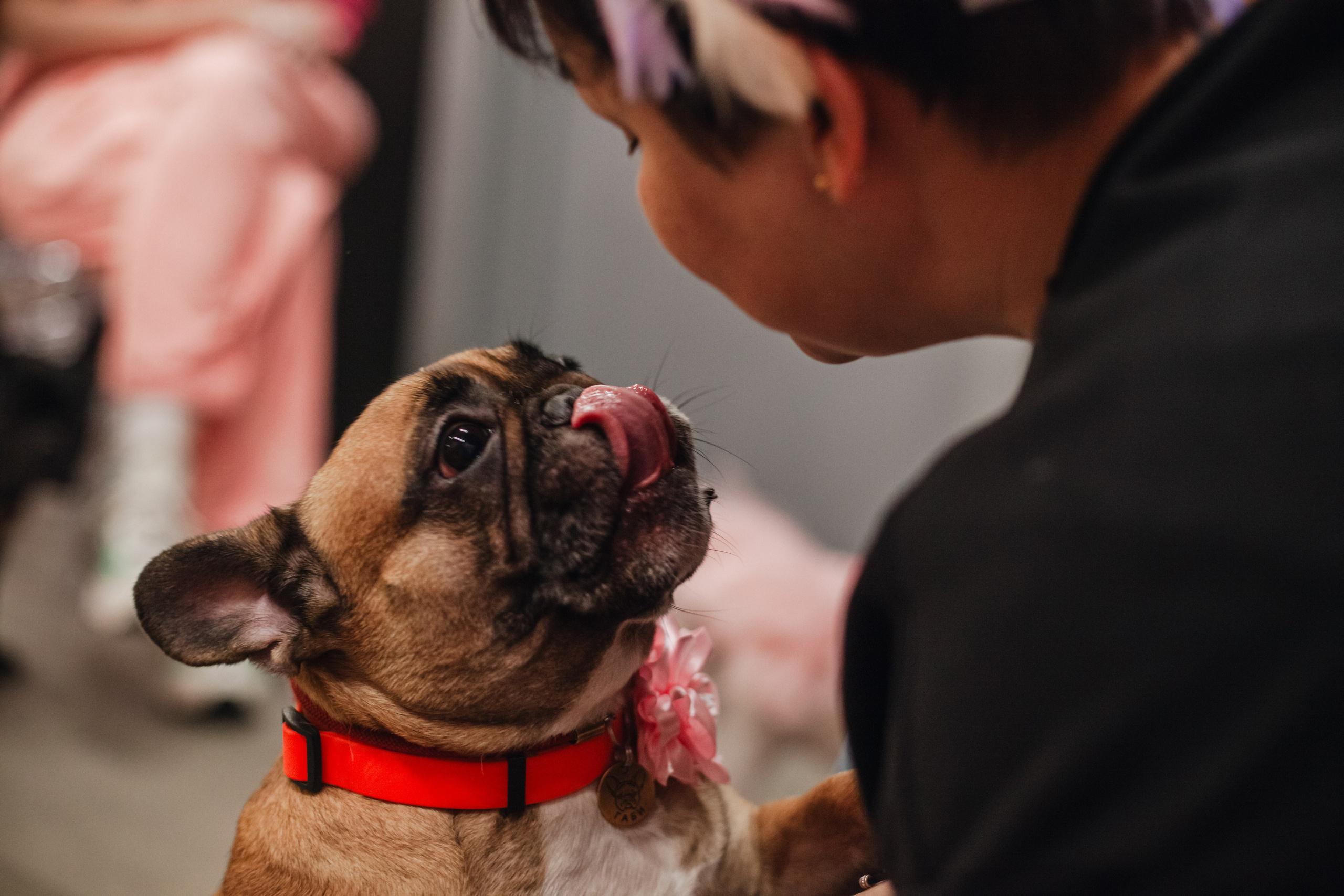 Бульёлка 2024. Фотограф-анималист Татьяна Степанова