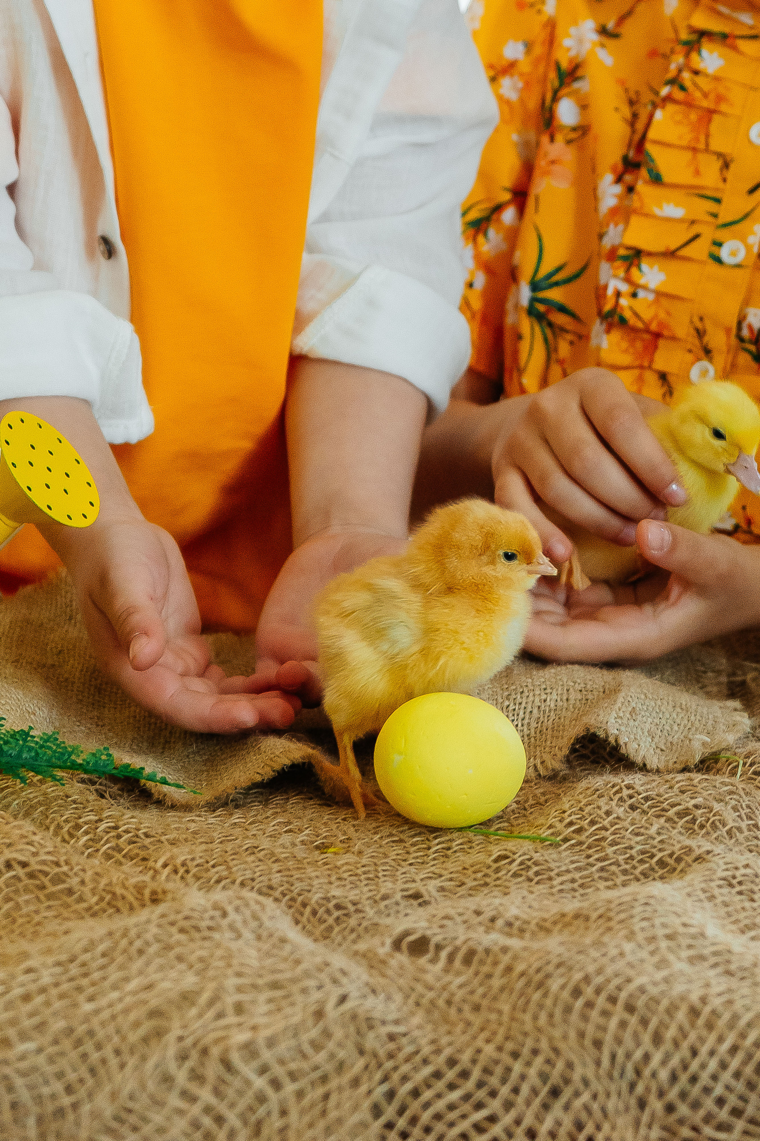 Юля и Дима. Свадебный и семейный фотограф во Владивостоке Александра Глускер