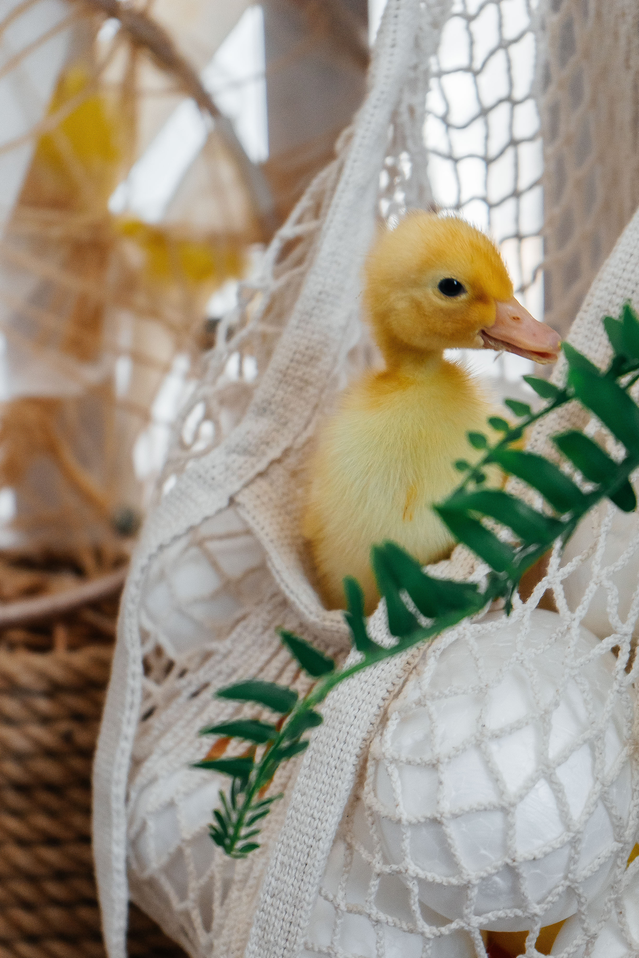 Агата. Свадебный и семейный фотограф во Владивостоке Александра Глускер