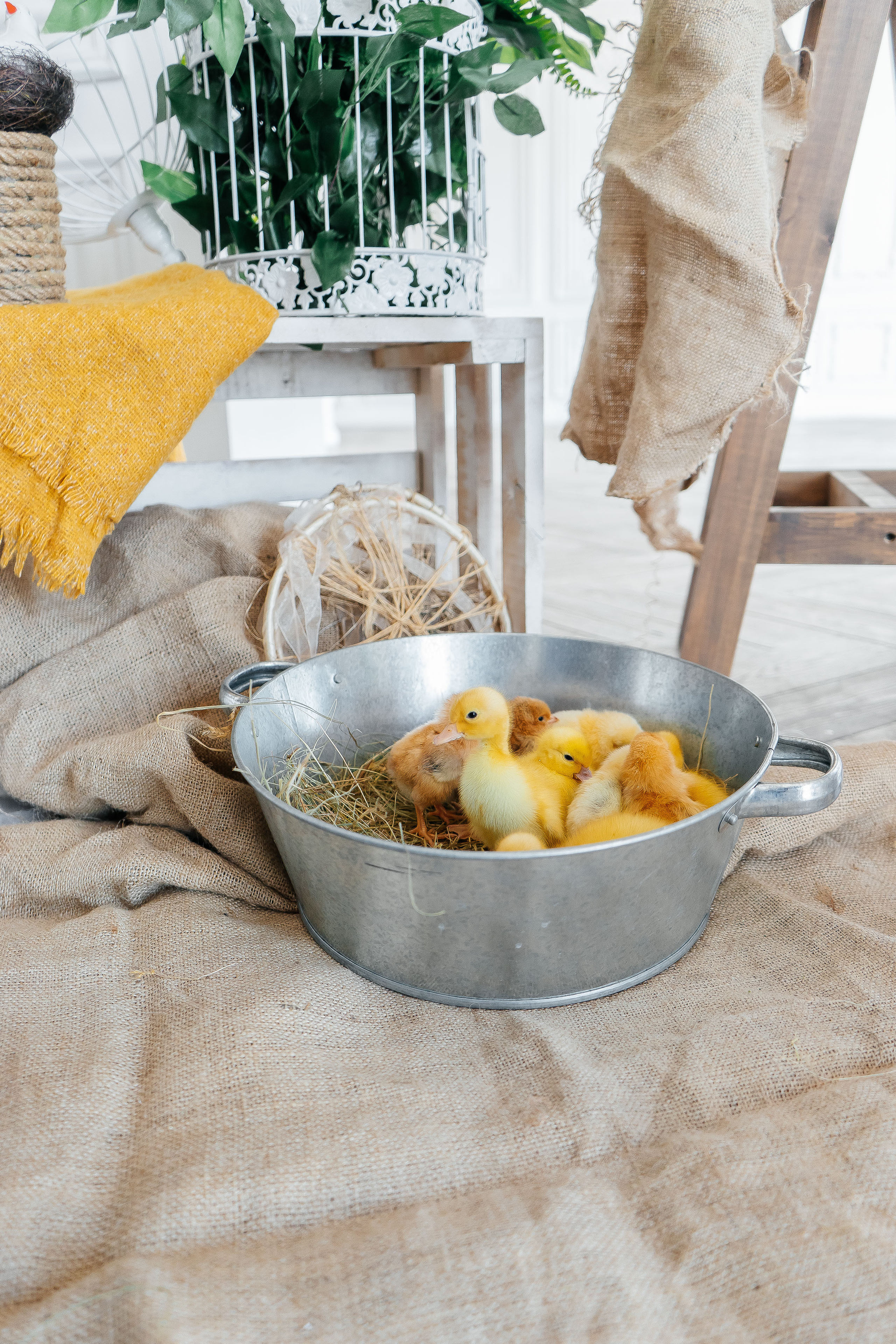 Агата. Свадебный и семейный фотограф во Владивостоке Александра Глускер