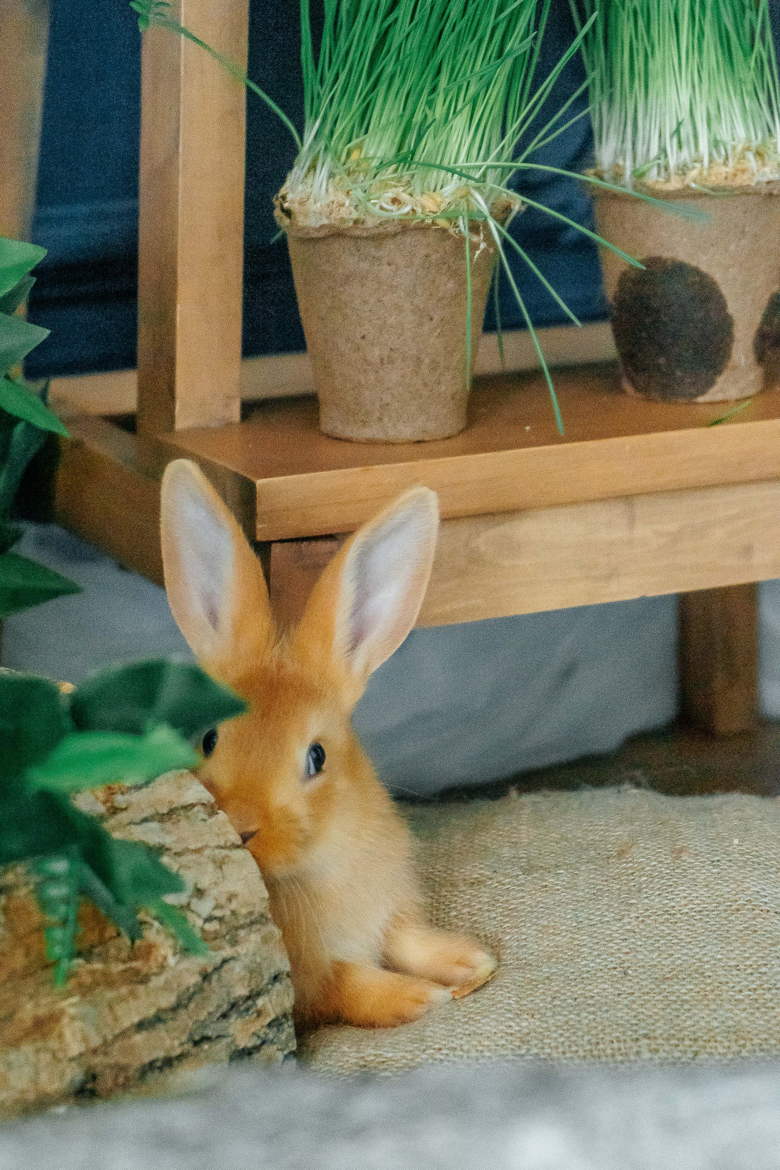 Юля и Дима. Свадебный и семейный фотограф во Владивостоке Александра Глускер