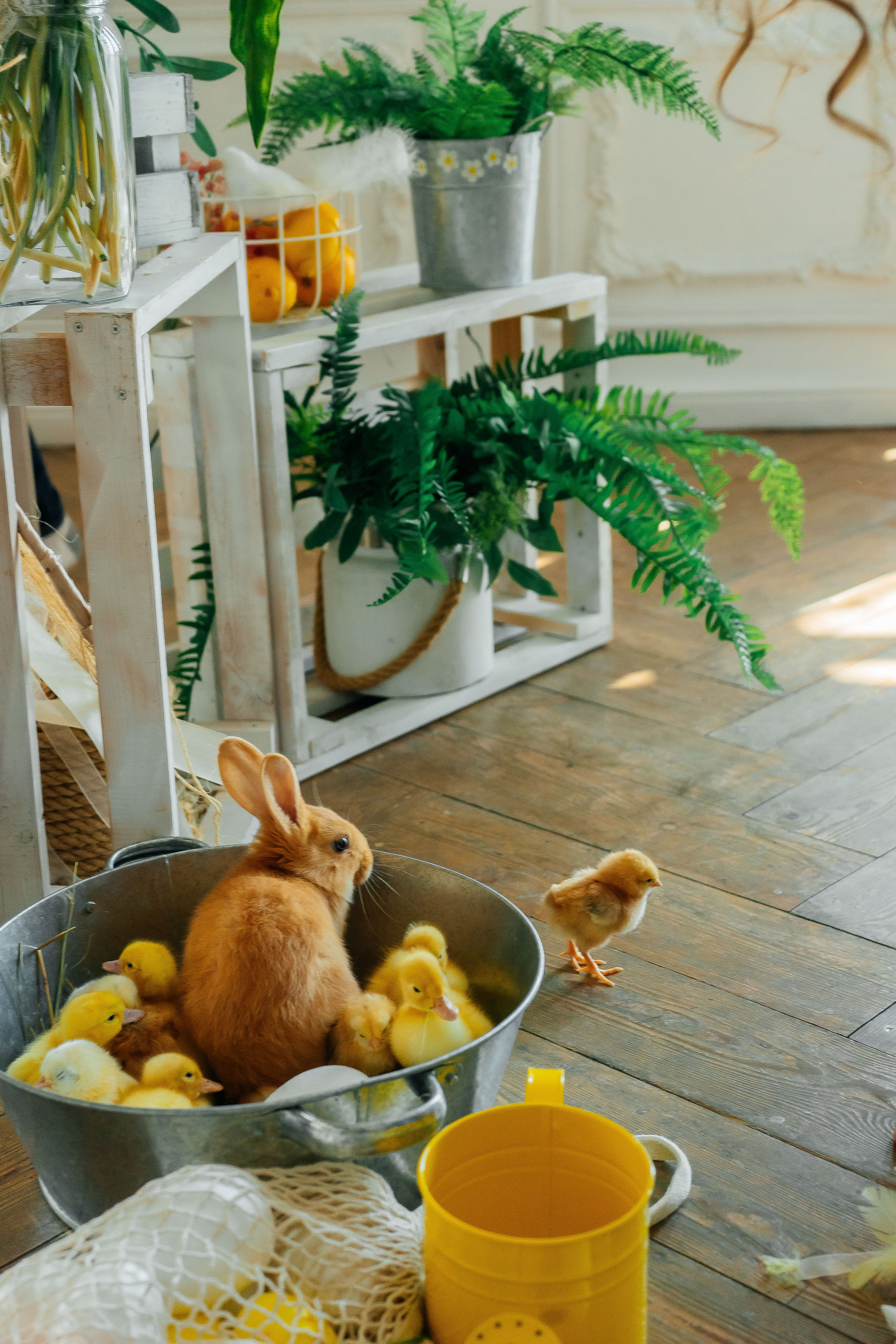 Агата. Свадебный и семейный фотограф во Владивостоке Александра Глускер