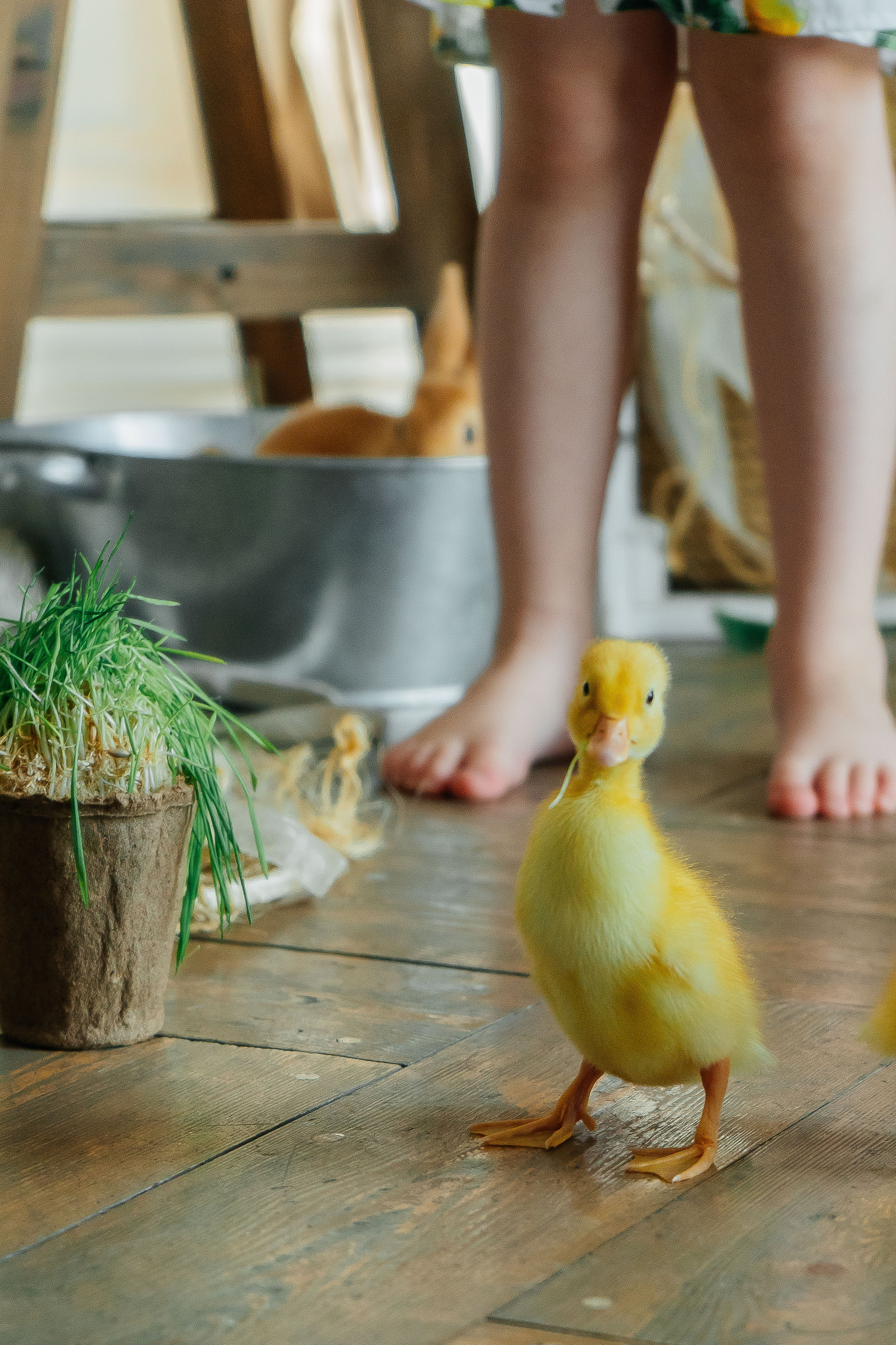 Агата. Свадебный и семейный фотограф во Владивостоке Александра Глускер