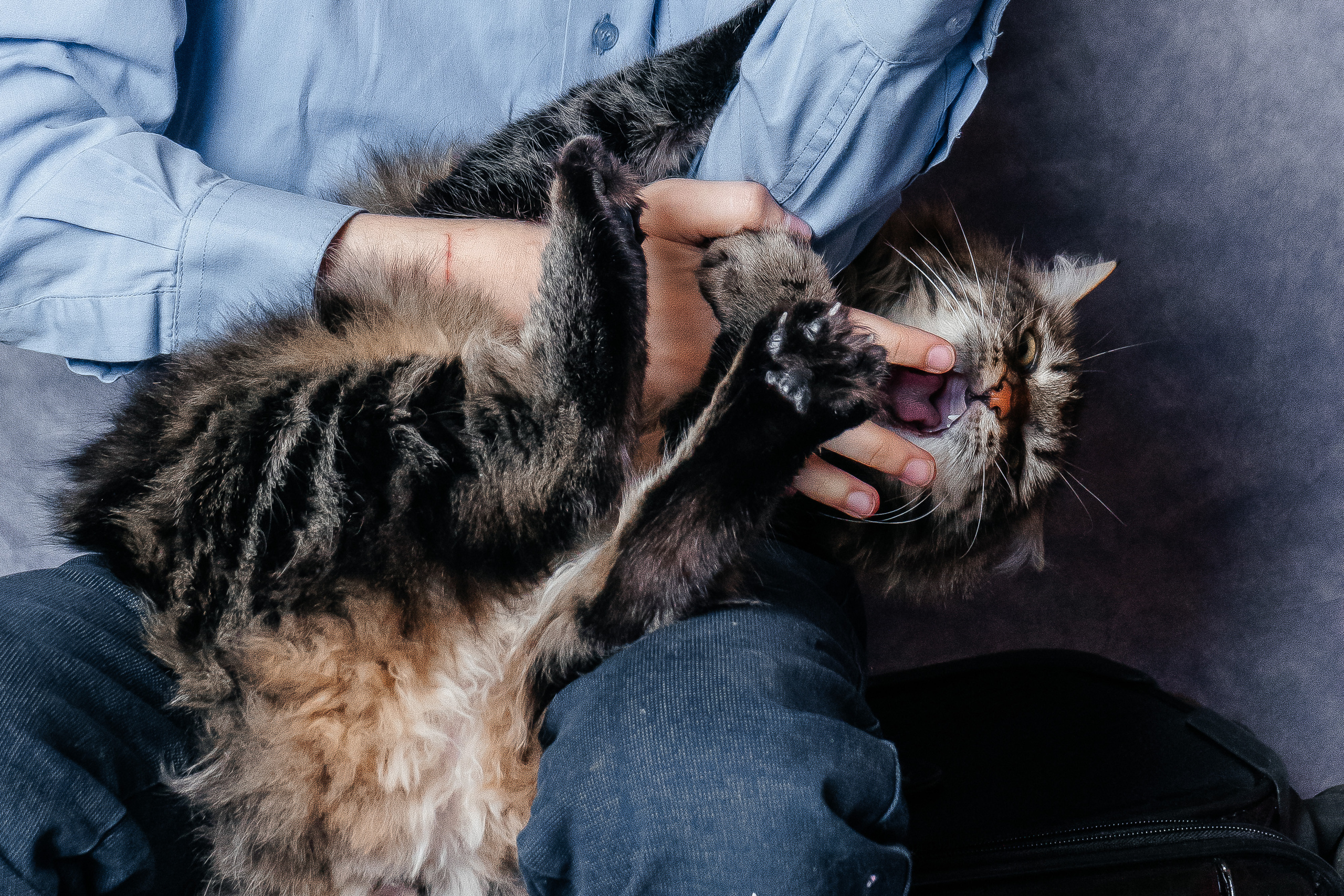 Даниил. Свадебный и семейный фотограф во Владивостоке Александра Глускер