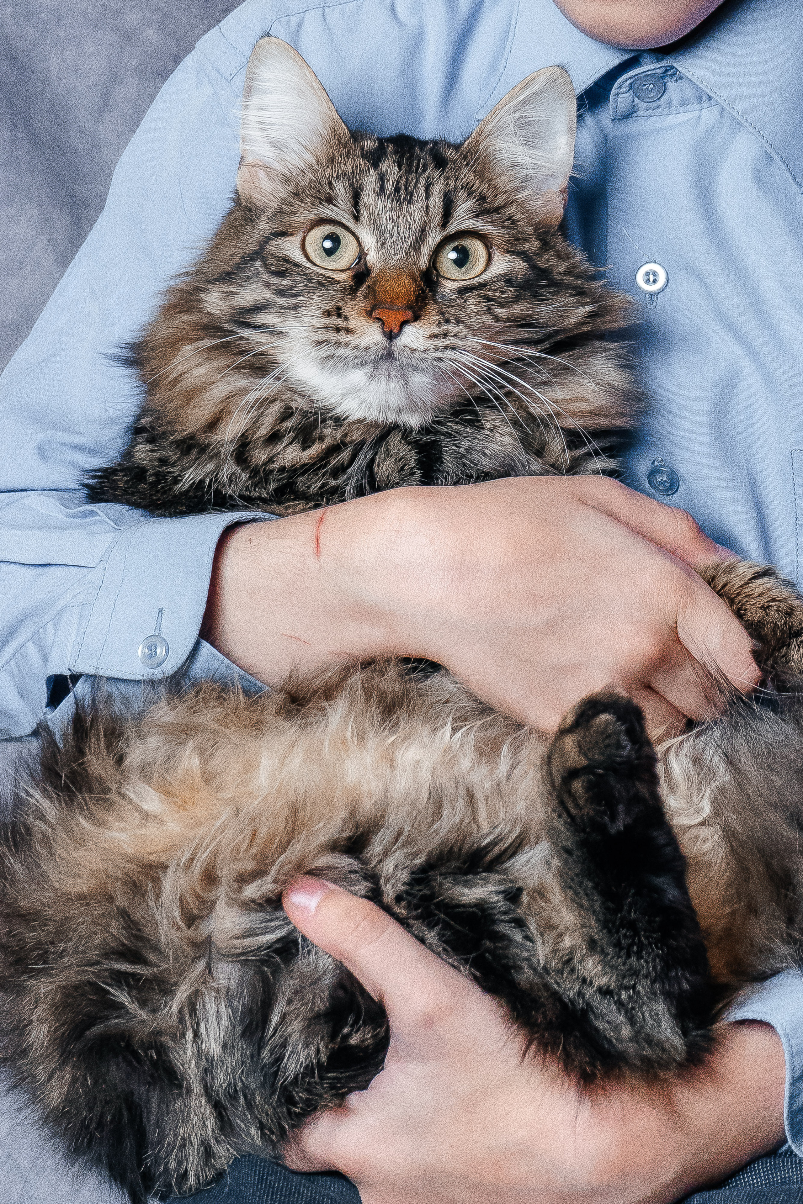 Даниил. Свадебный и семейный фотограф во Владивостоке Александра Глускер
