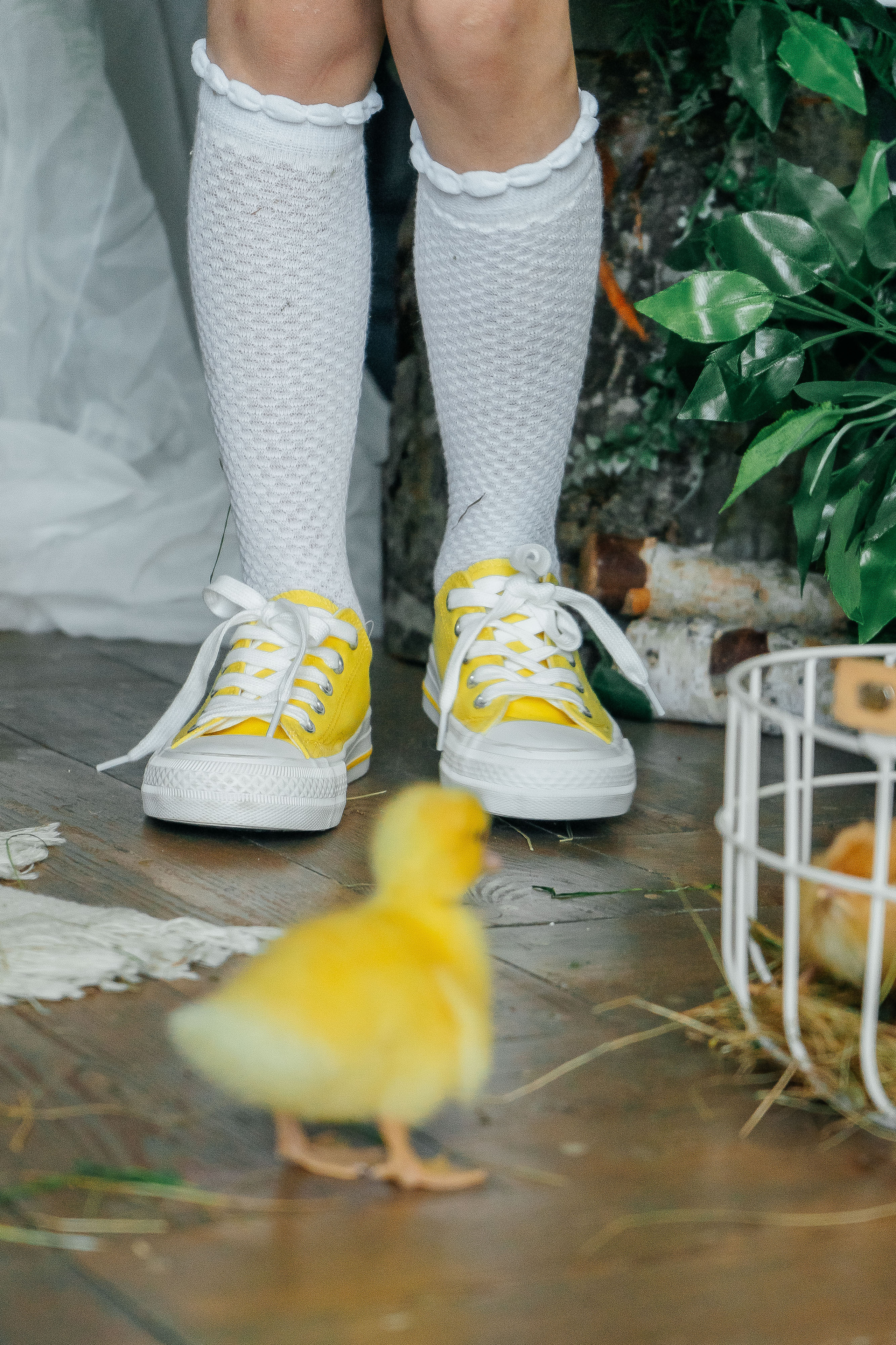 Юля и Дима. Свадебный и семейный фотограф во Владивостоке Александра Глускер