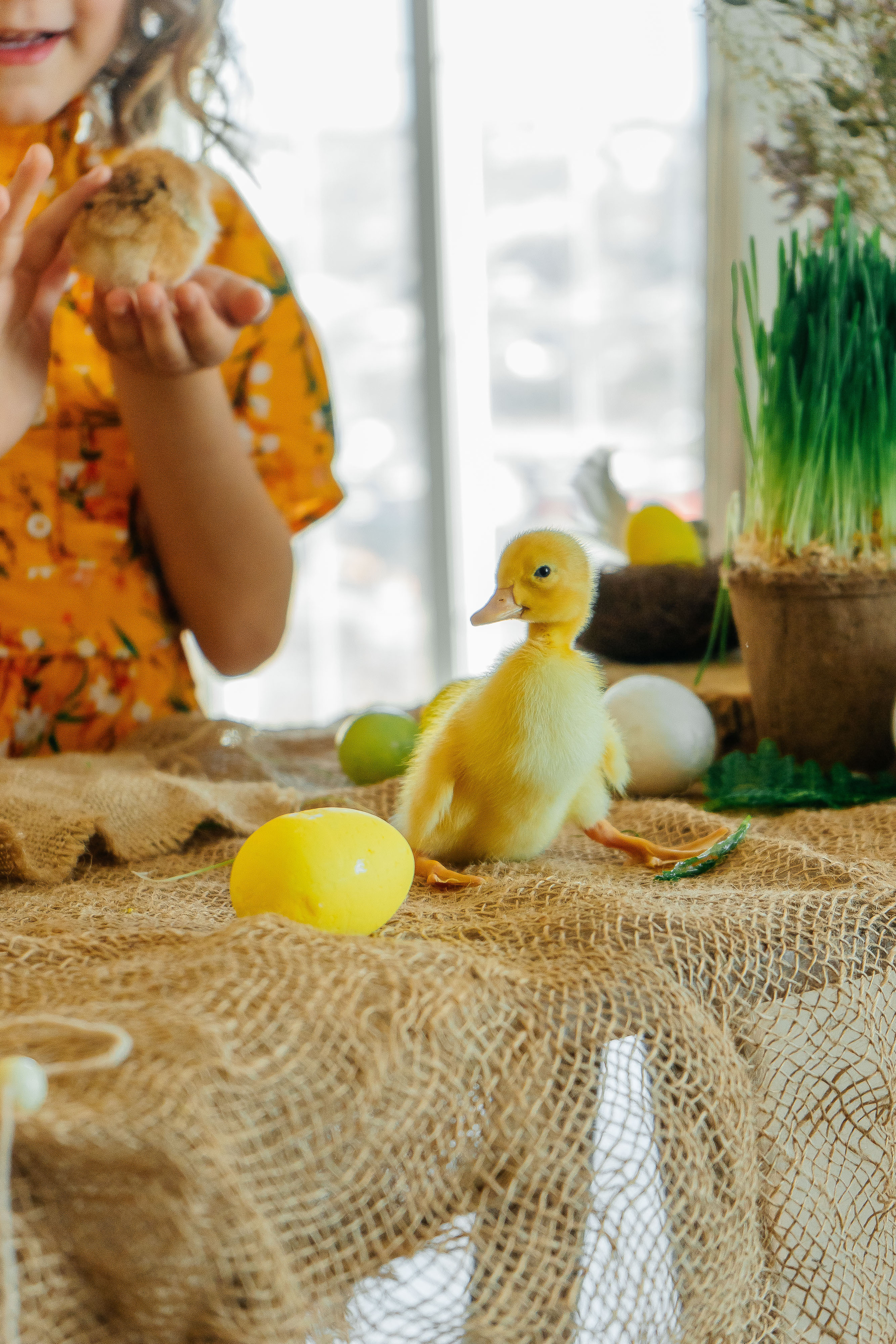 Юля и Дима. Свадебный и семейный фотограф во Владивостоке Александра Глускер