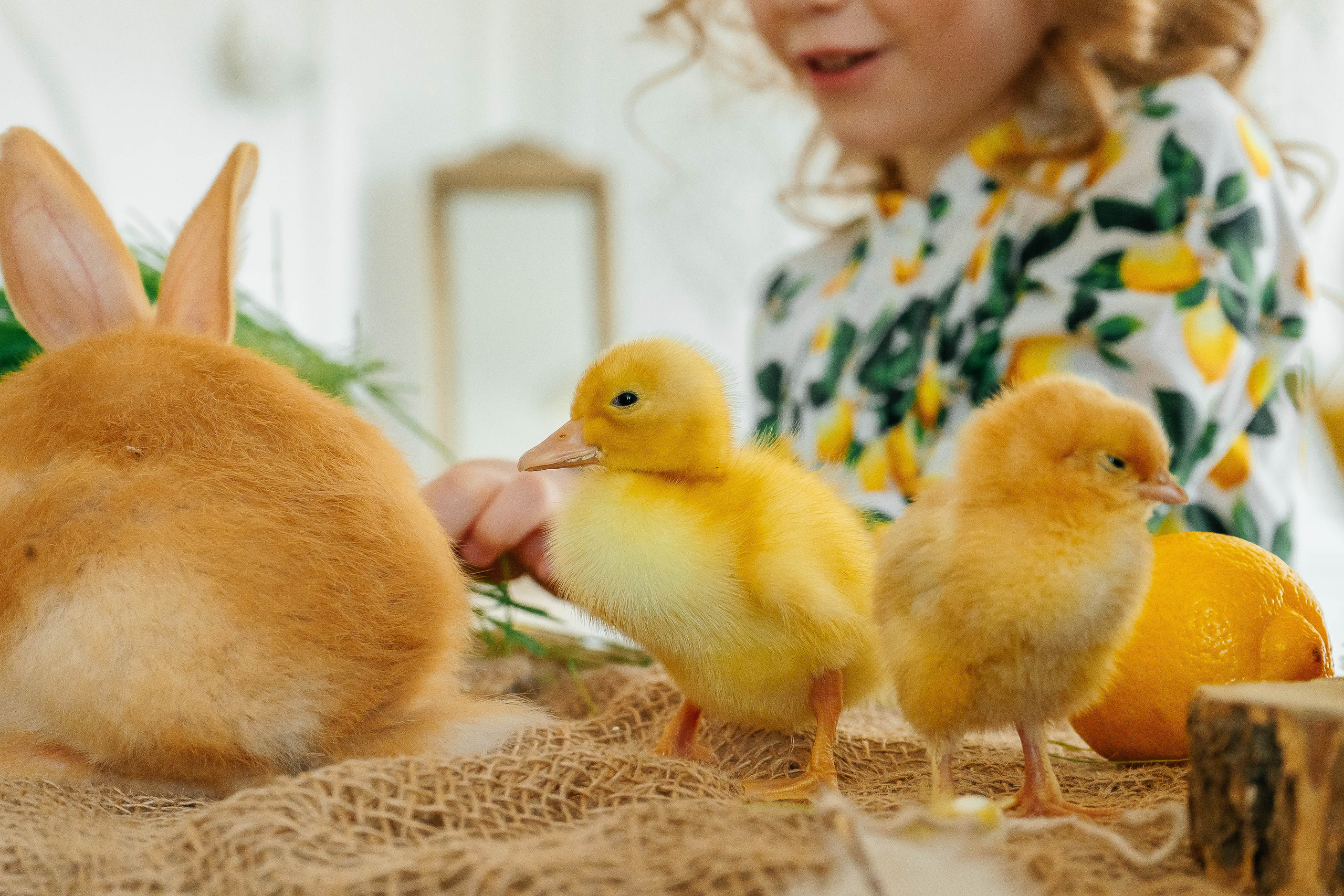 Агата. Свадебный и семейный фотограф во Владивостоке Александра Глускер