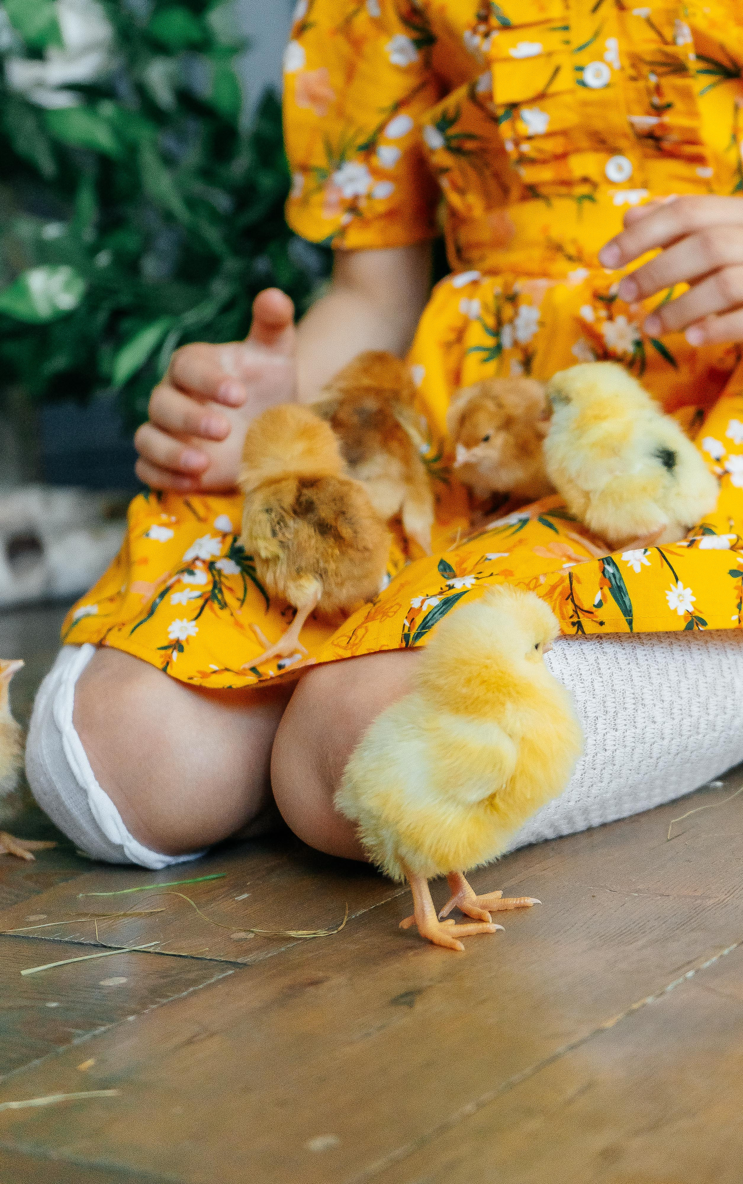 Юля и Дима. Свадебный и семейный фотограф во Владивостоке Александра Глускер