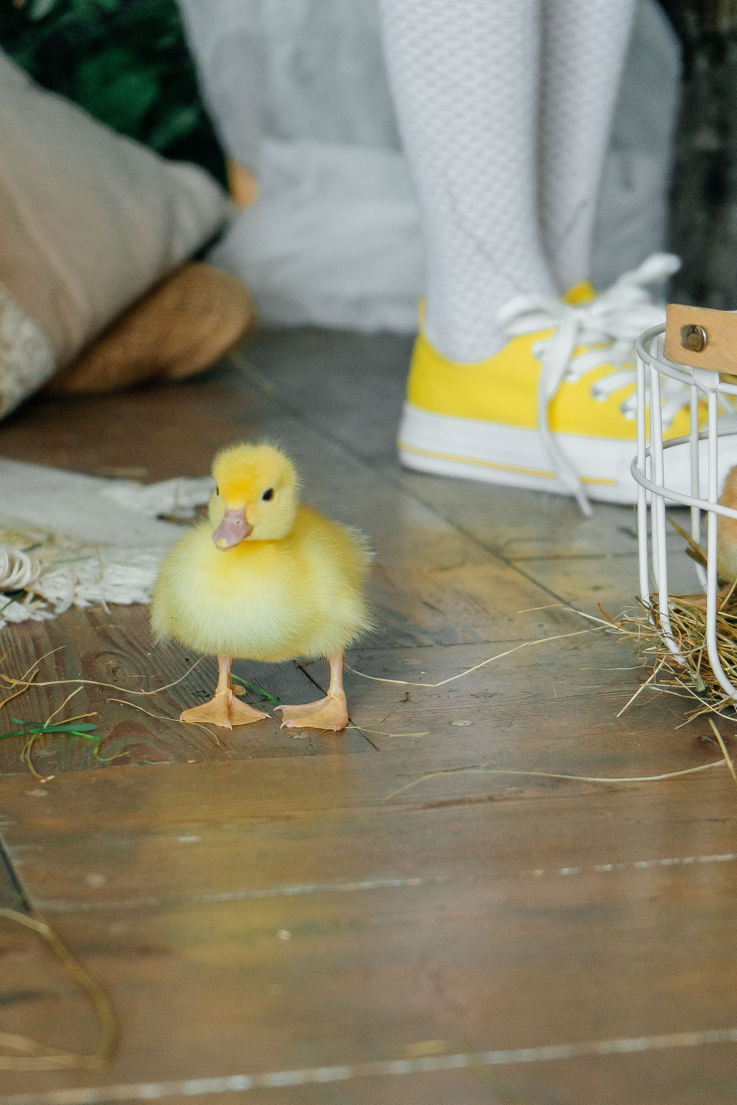 Юля и Дима. Свадебный и семейный фотограф во Владивостоке Александра Глускер