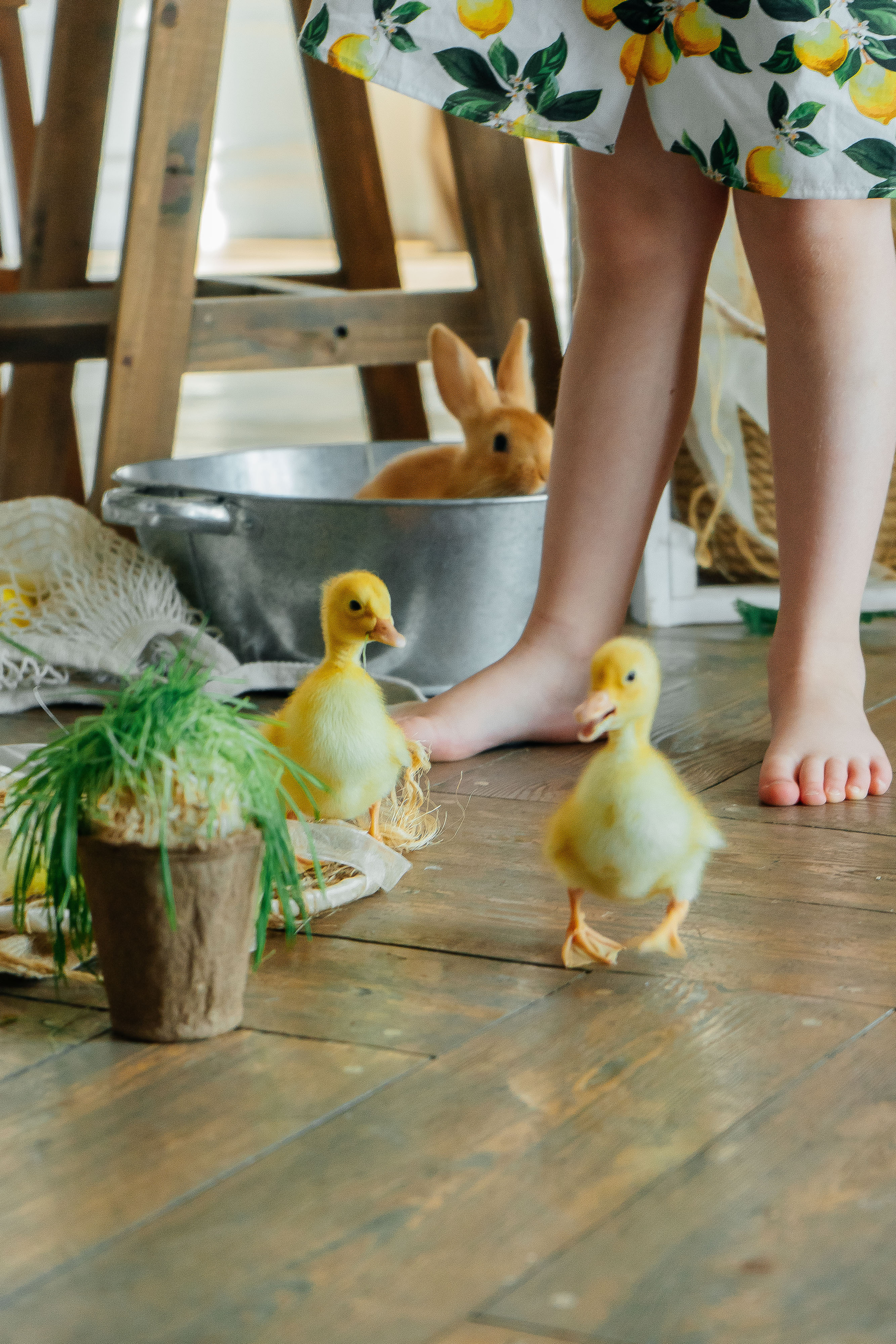Агата. Свадебный и семейный фотограф во Владивостоке Александра Глускер
