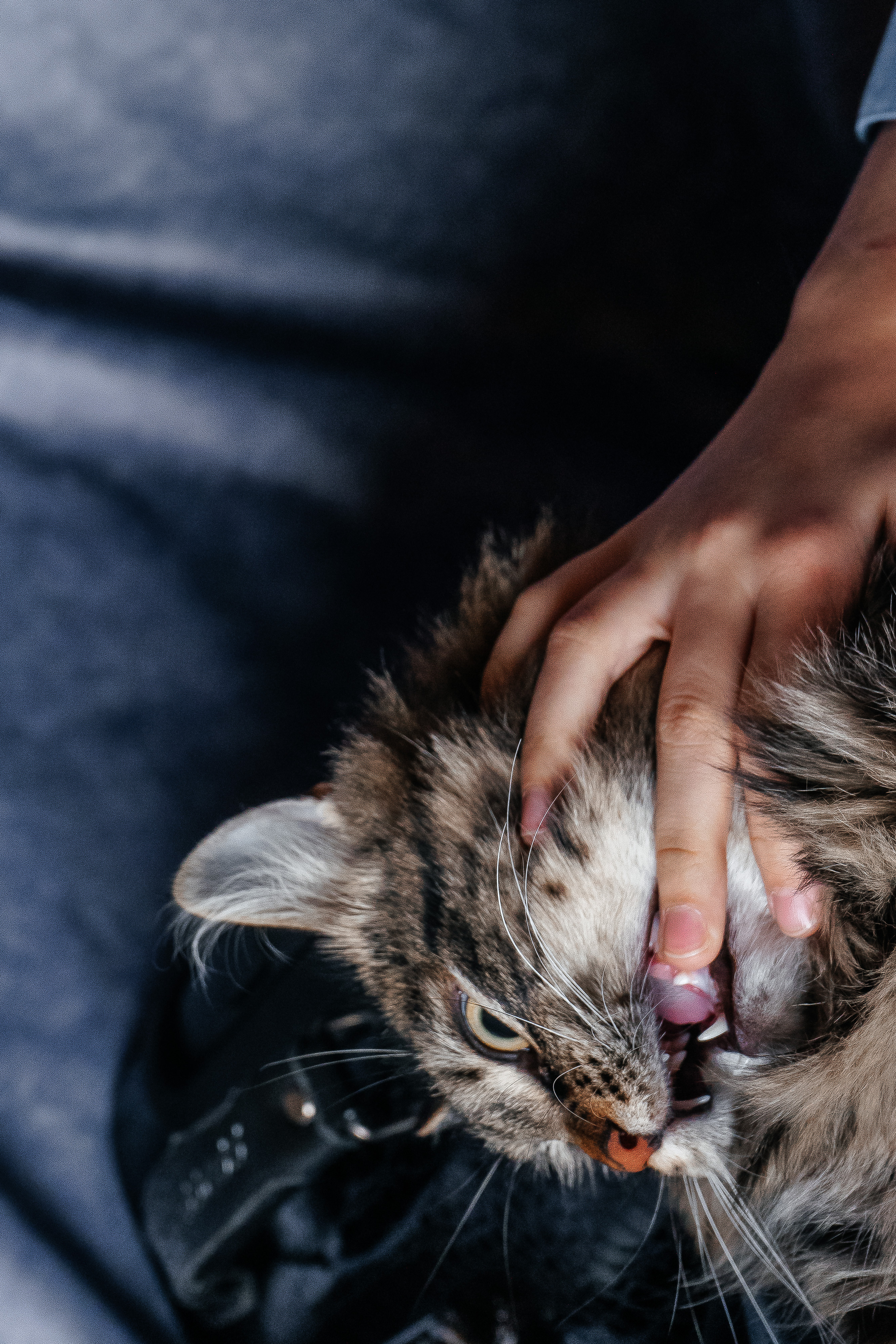 Даниил. Свадебный и семейный фотограф во Владивостоке Александра Глускер