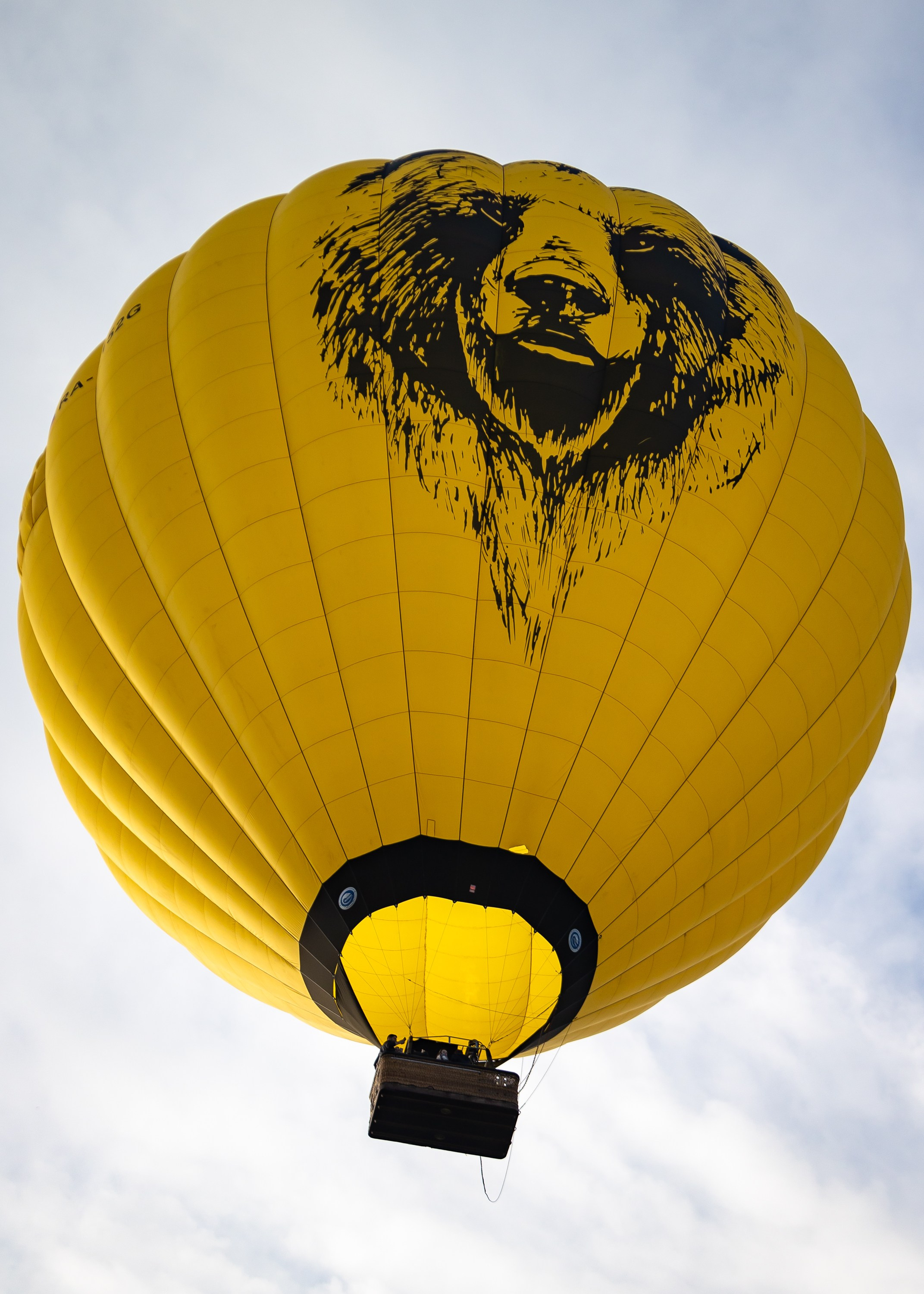 23-й фестиваль воздухоплавания «Золотое кольцо России» в Переславле-Залесском. Фотограф Владимир Охрименко