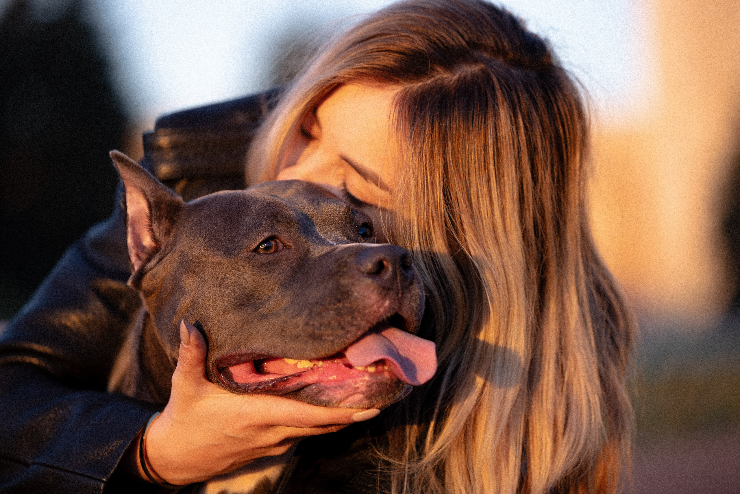 Катя, Леша, Лея и Трой. Фотограф и видеограф анималист Аганина Дарья