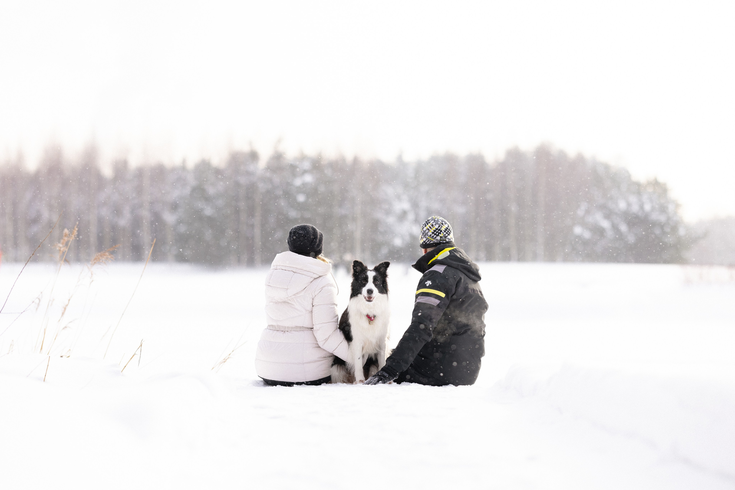 Лилия, Алексей и Ариана. Фотограф и видеограф анималист Аганина Дарья
